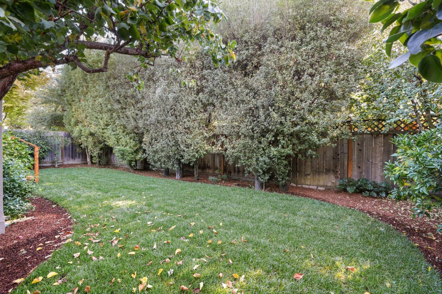 316 McKendry Drive Menlo Park, CA 94025 - Photo 18 of 21 a view of a backyard with large trees