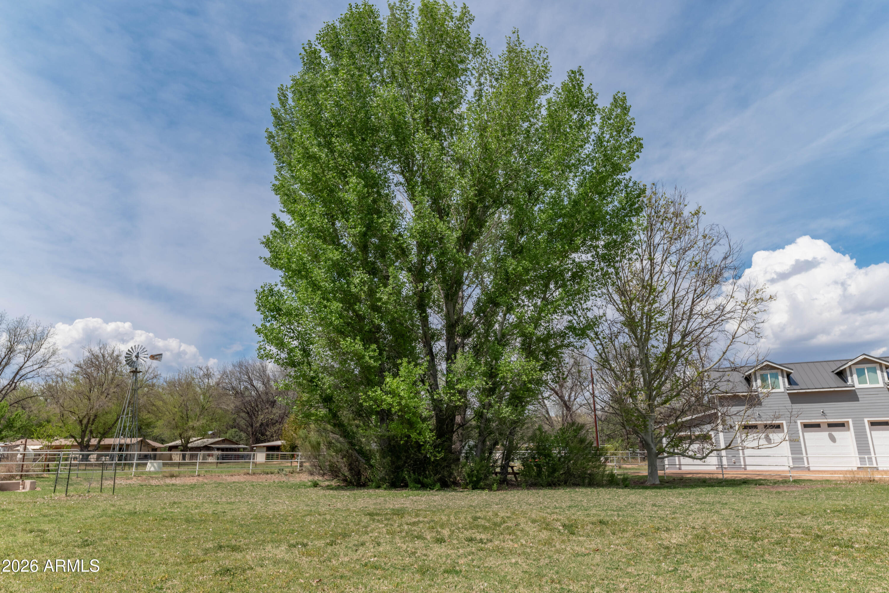 1150 Rio Verde Lane Camp Verde, AZ 86322 - Photo 36 of 51 Big tree back