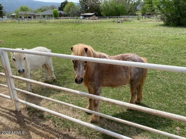 1150 Rio Verde Lane Camp Verde, AZ 86322 - Photo 44 of 51 Ponies Doc and Mooch