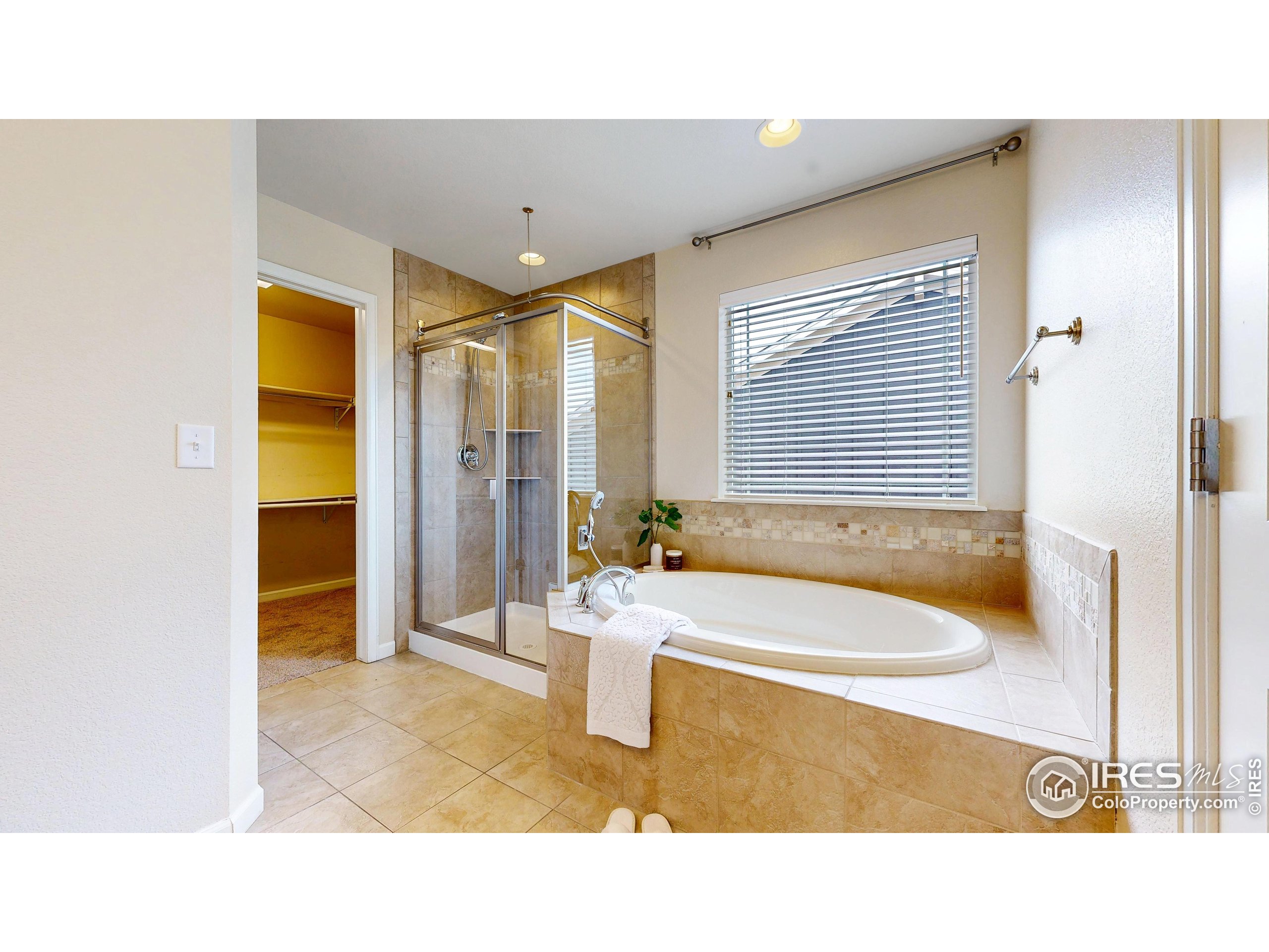 6748 Rainier Road Timnath, CO 80547 - Photo 16 of 34 a bathroom with a tub a sink and a window