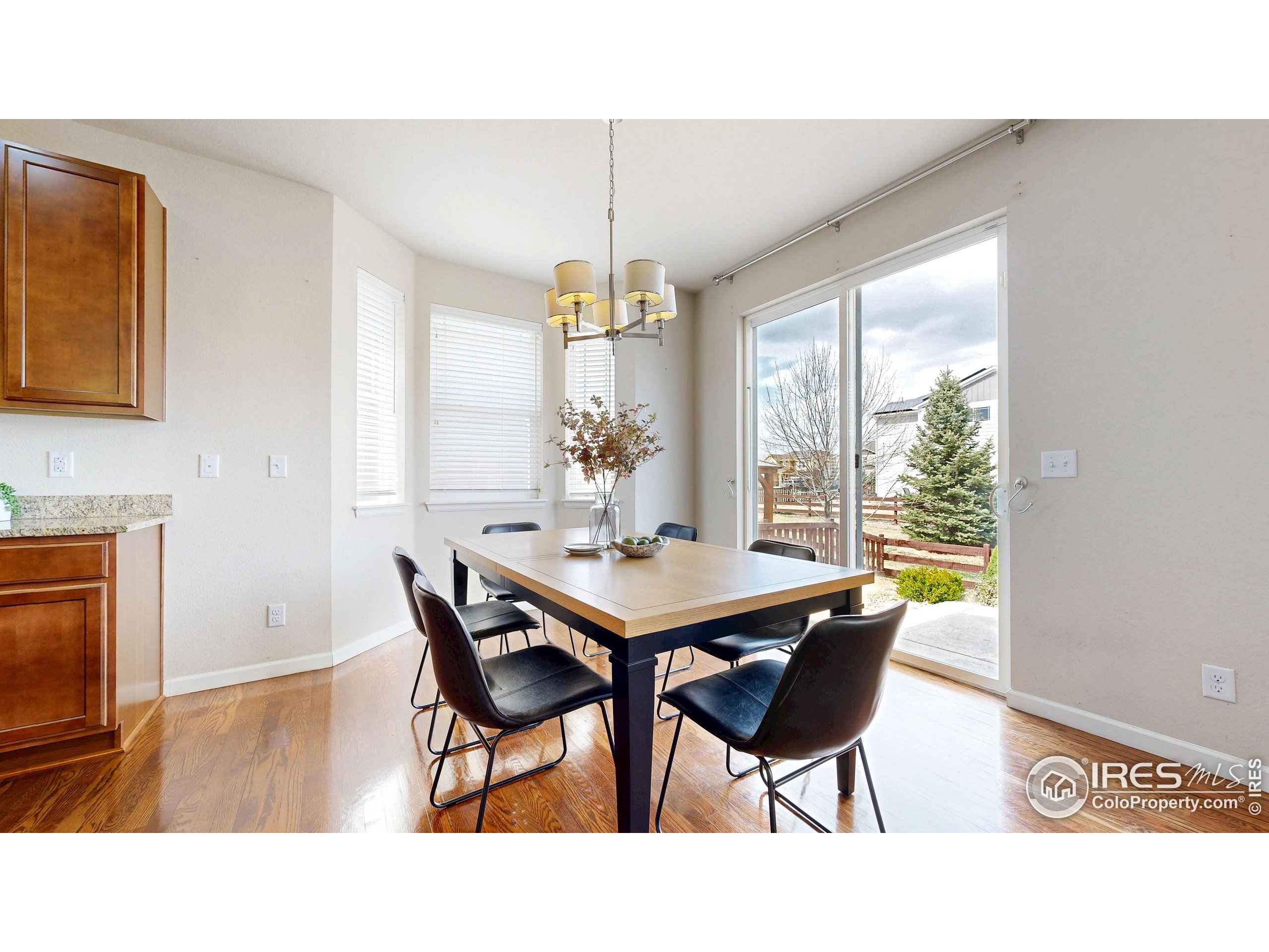 6748 Rainier Road Timnath, CO 80547 - Photo 6 of 34 a dining room with furniture and window