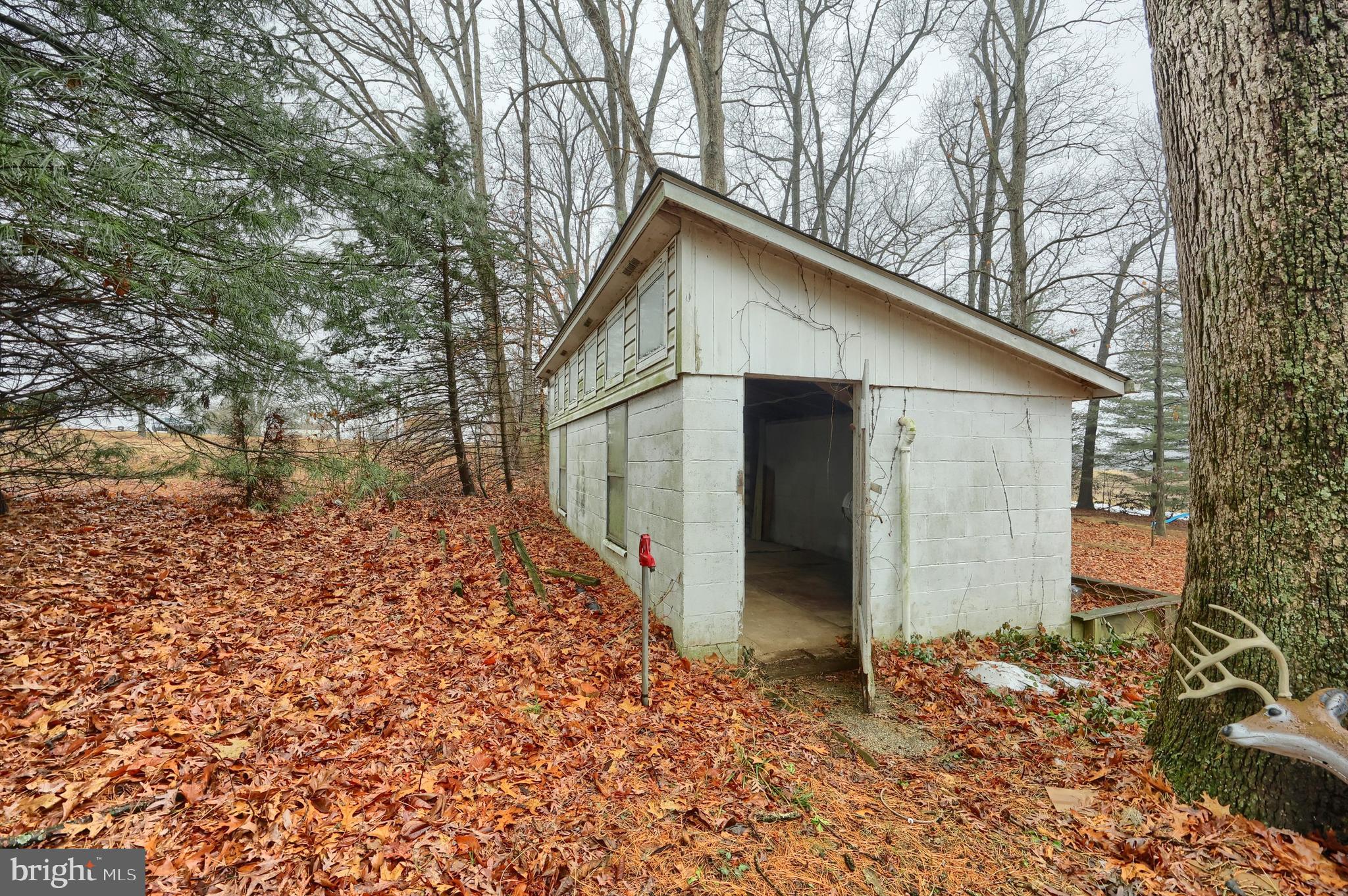 754 Bridgeton Road Fawn Grove, PA 17321 - Photo 13 of 42 a view of a house with a yard and large tree