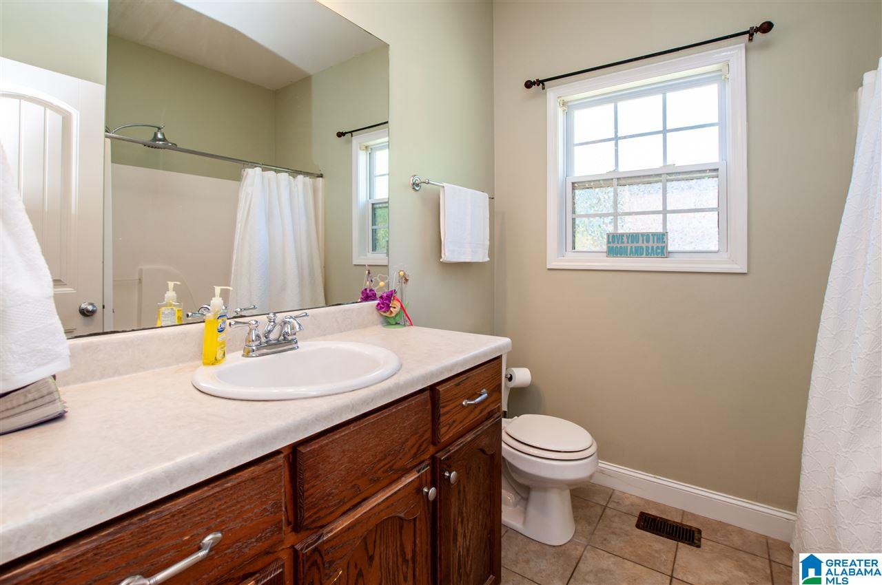 385 Turkey Trail Road Odenville, AL 35120 - Photo 12 of 18
