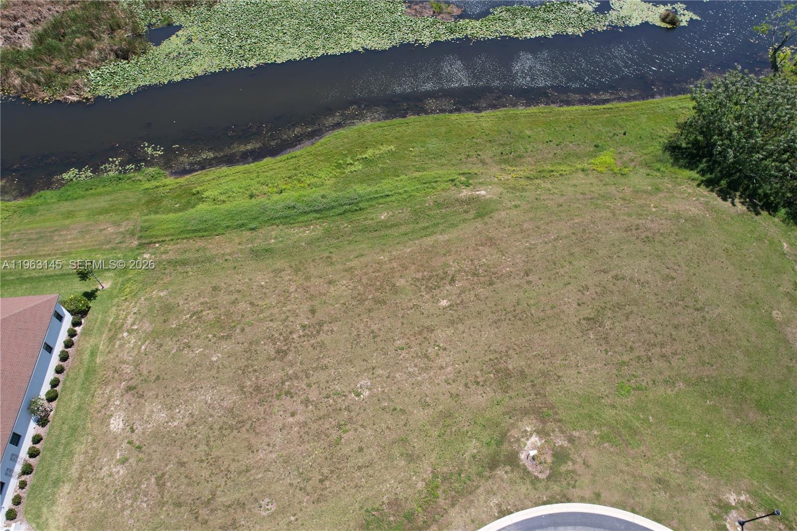 116 Caladium Avenue Lake Alfred, FL 33850 - Photo 4 of 6 a view of outdoor space and yard