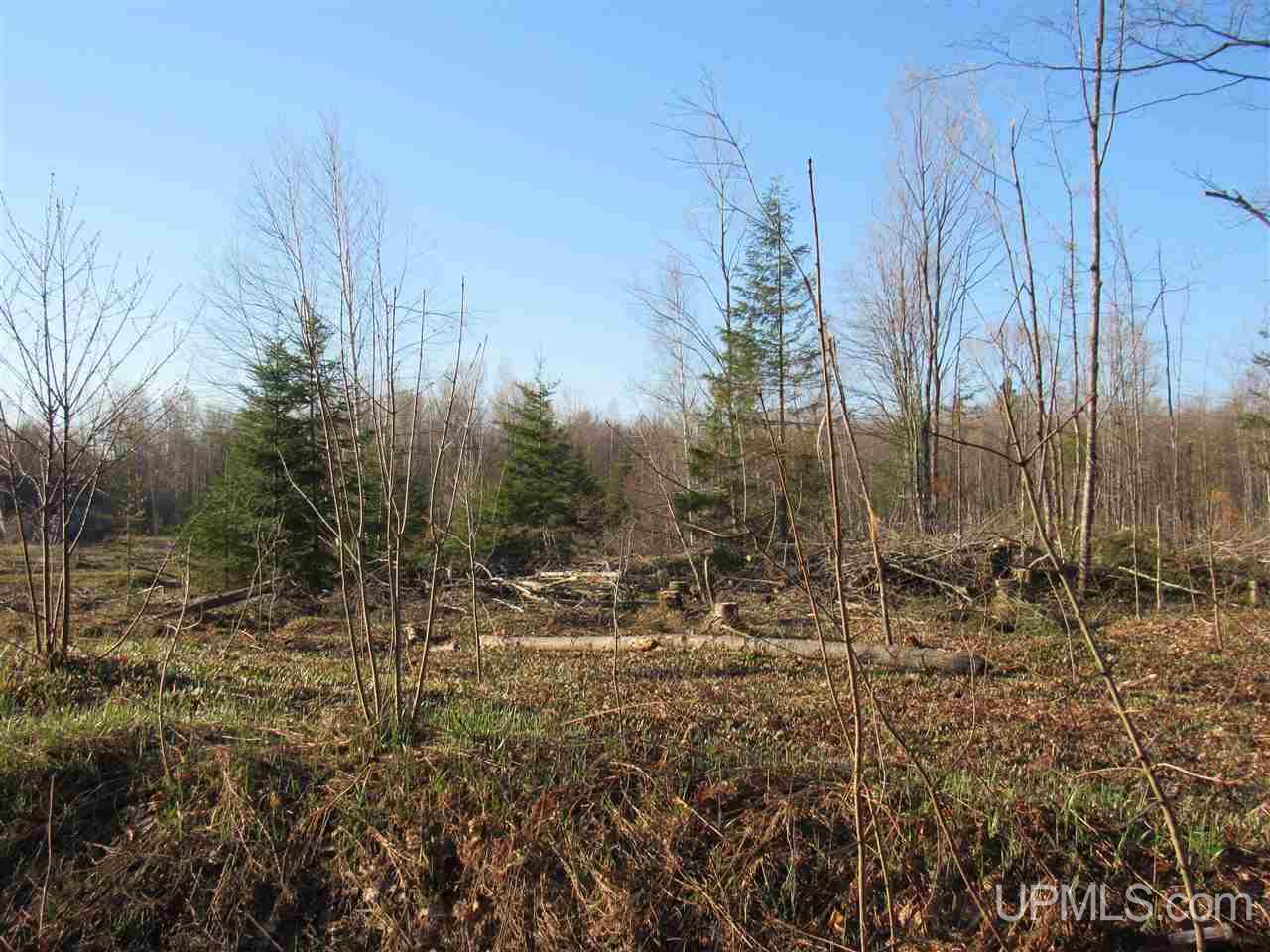 Tbd Tbd Mcmaster Road Skandia, MI 49885 - Photo 10 of 10