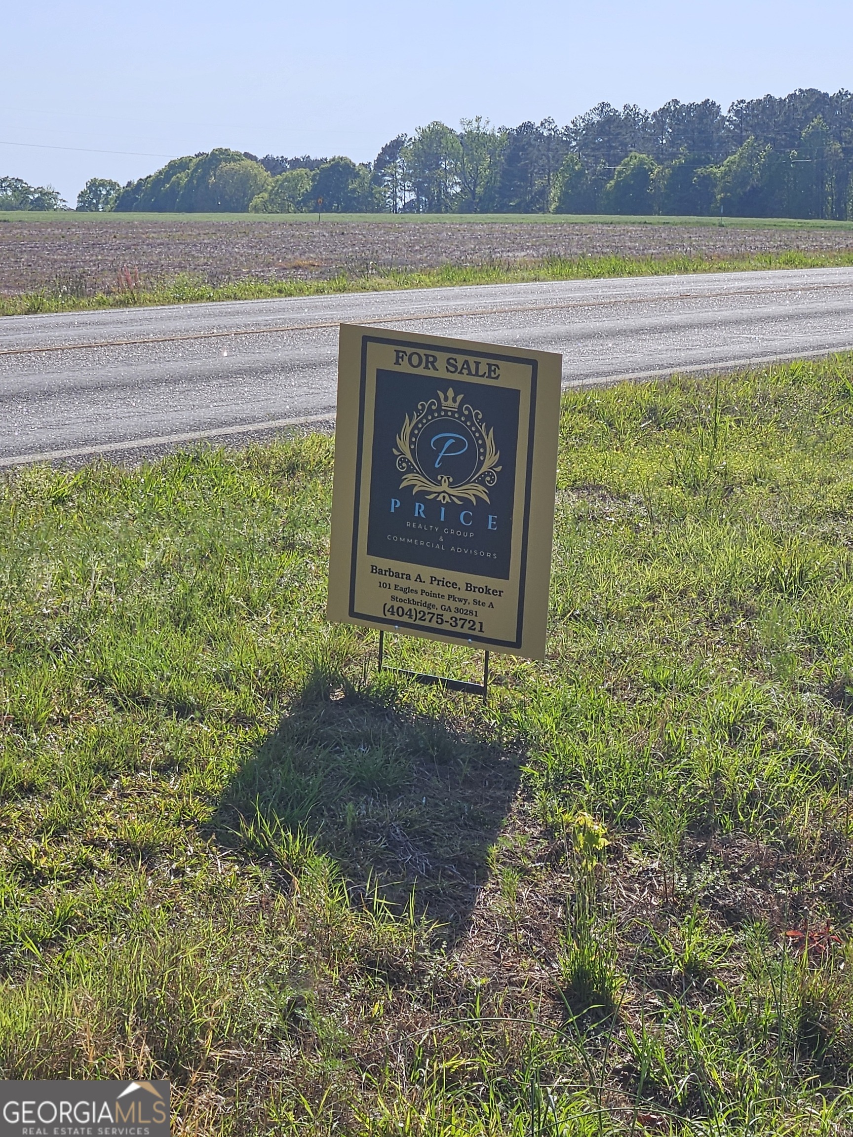 5521 Atlanta Highway Rutledge, GA 30663 - Photo 3 of 5