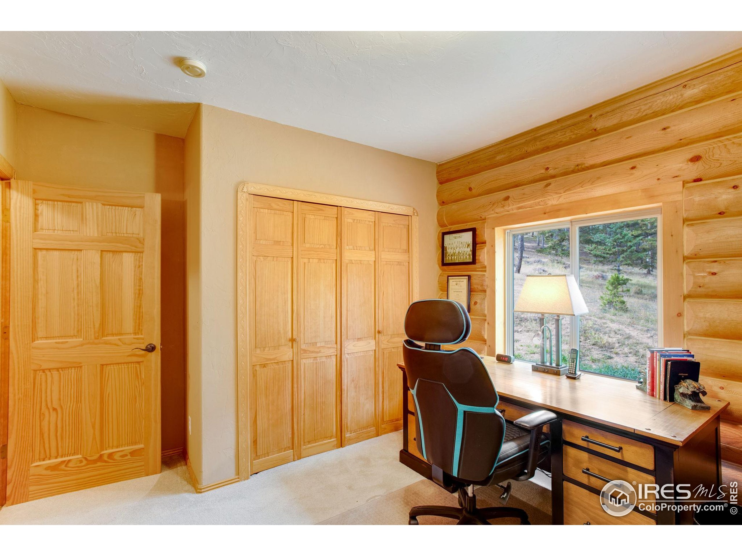 427 Wilderness Ridge Way Bellvue, CO 80512 - Photo 29 of 50