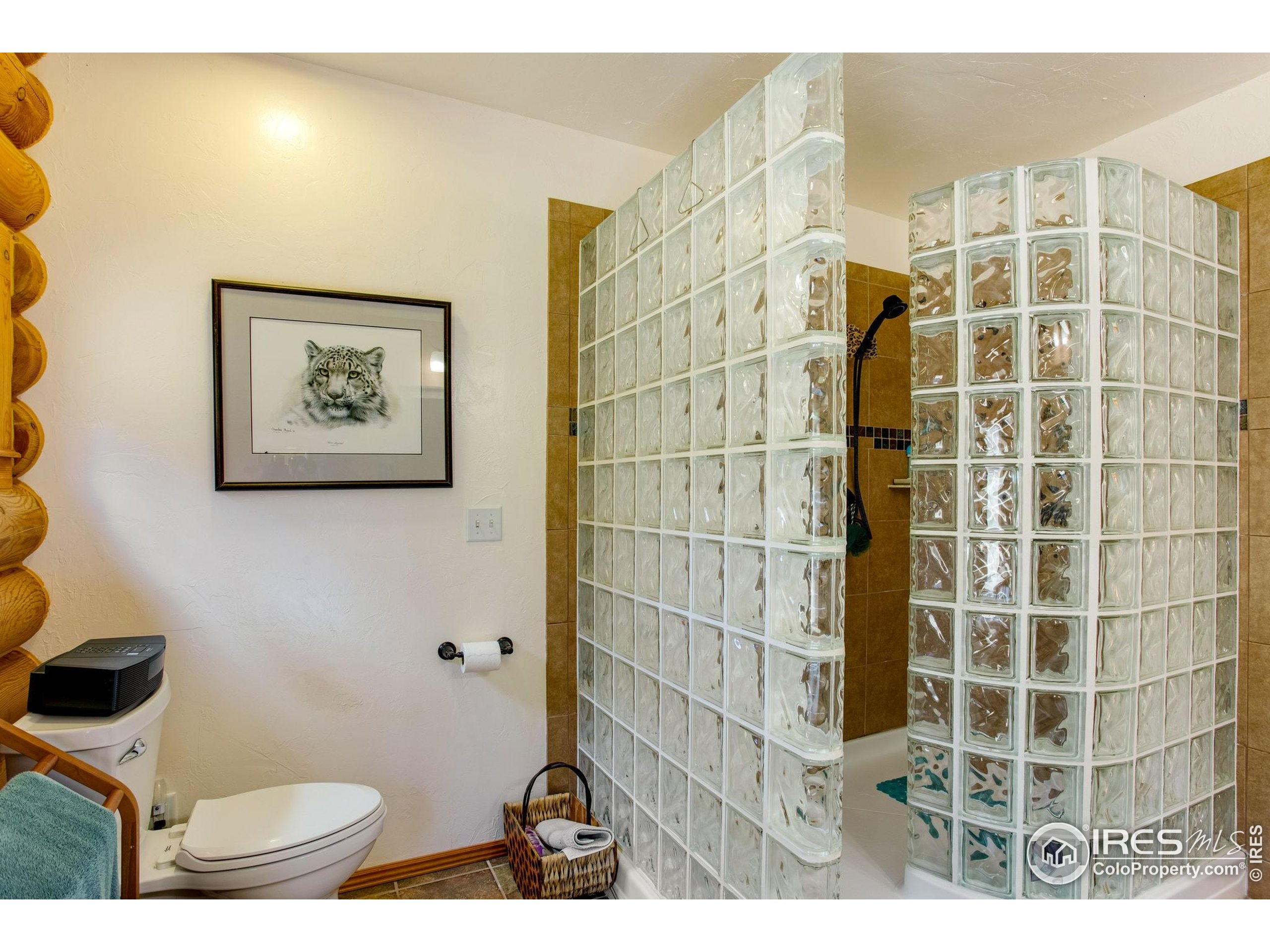 427 Wilderness Ridge Way Bellvue, CO 80512 - Photo 33 of 50