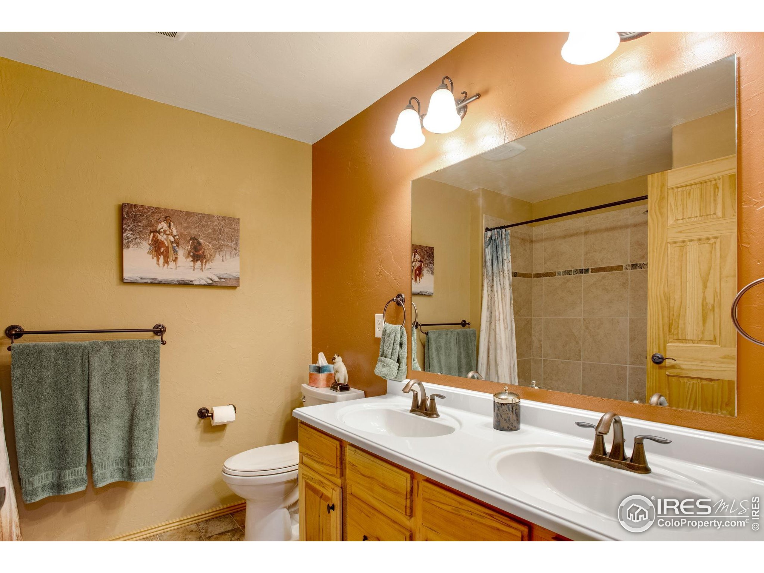 427 Wilderness Ridge Way Bellvue, CO 80512 - Photo 45 of 50