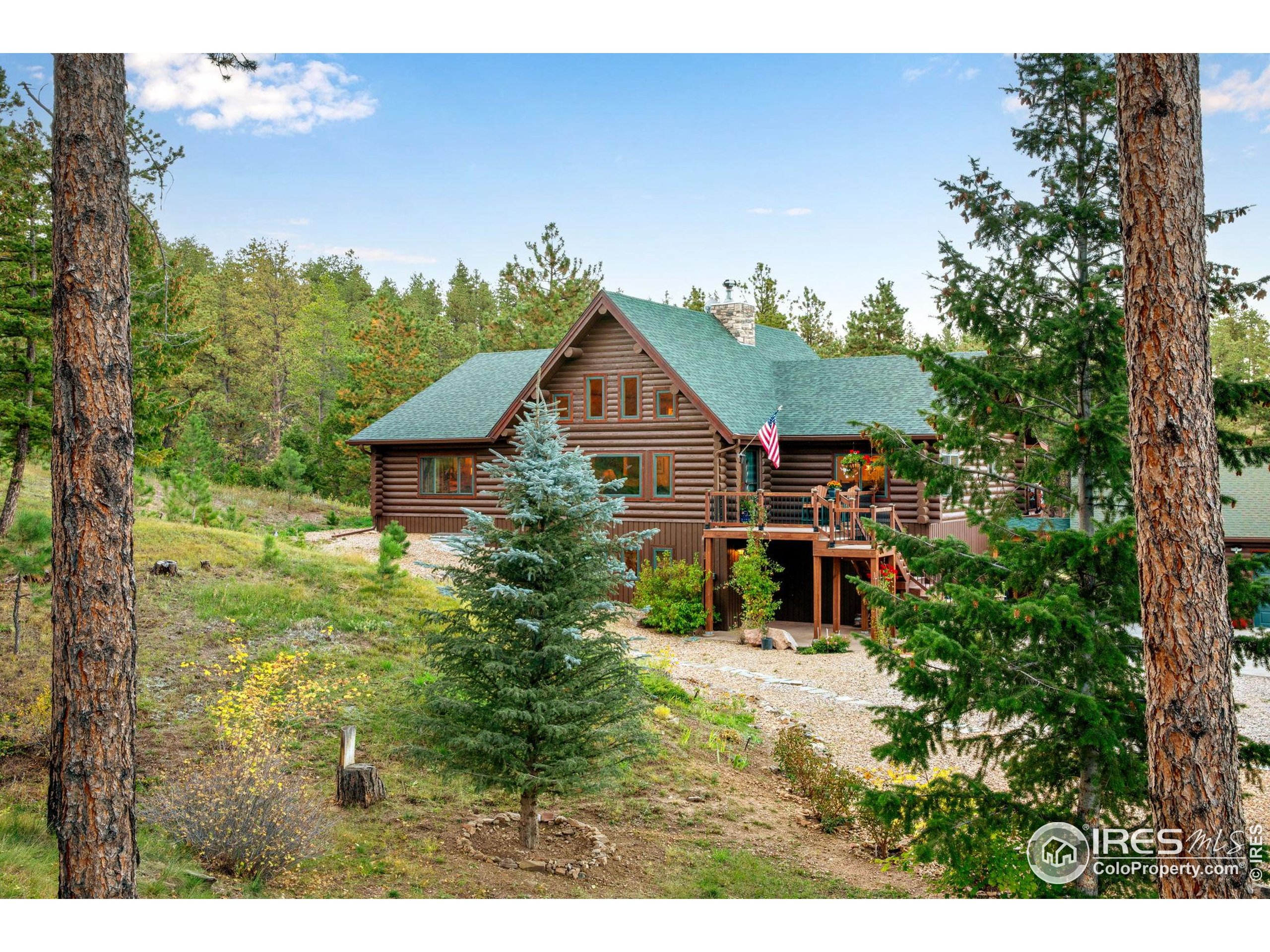427 Wilderness Ridge Way Bellvue, CO 80512 - Photo 48 of 50