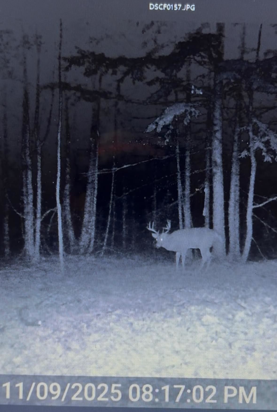 Depot Street Bonduel, WI 54107 - Photo 14 of 32