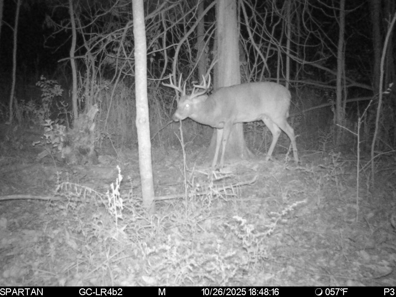 Depot Street Bonduel, WI 54107 - Photo 16 of 32
