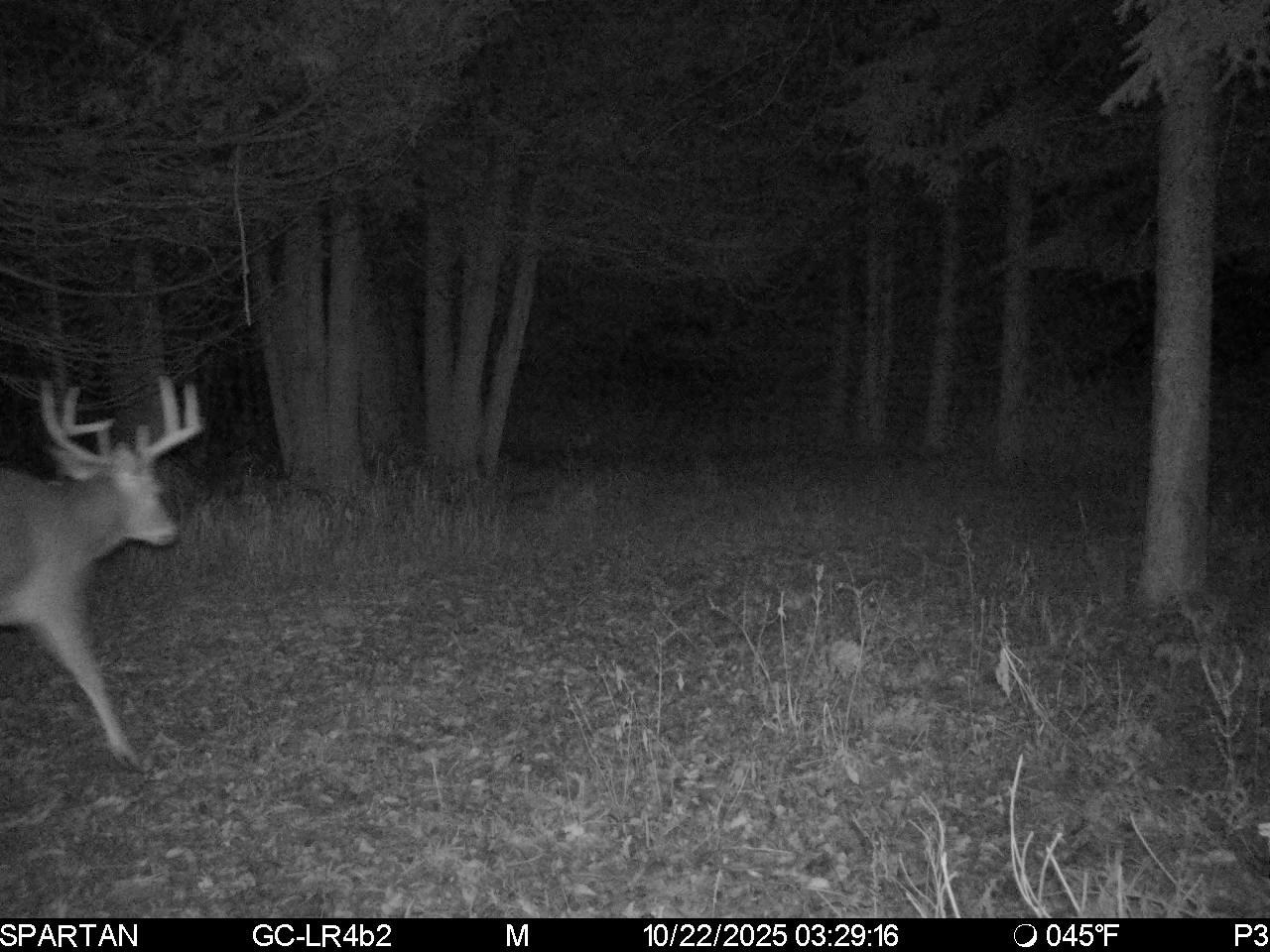 Depot Street Bonduel, WI 54107 - Photo 17 of 32