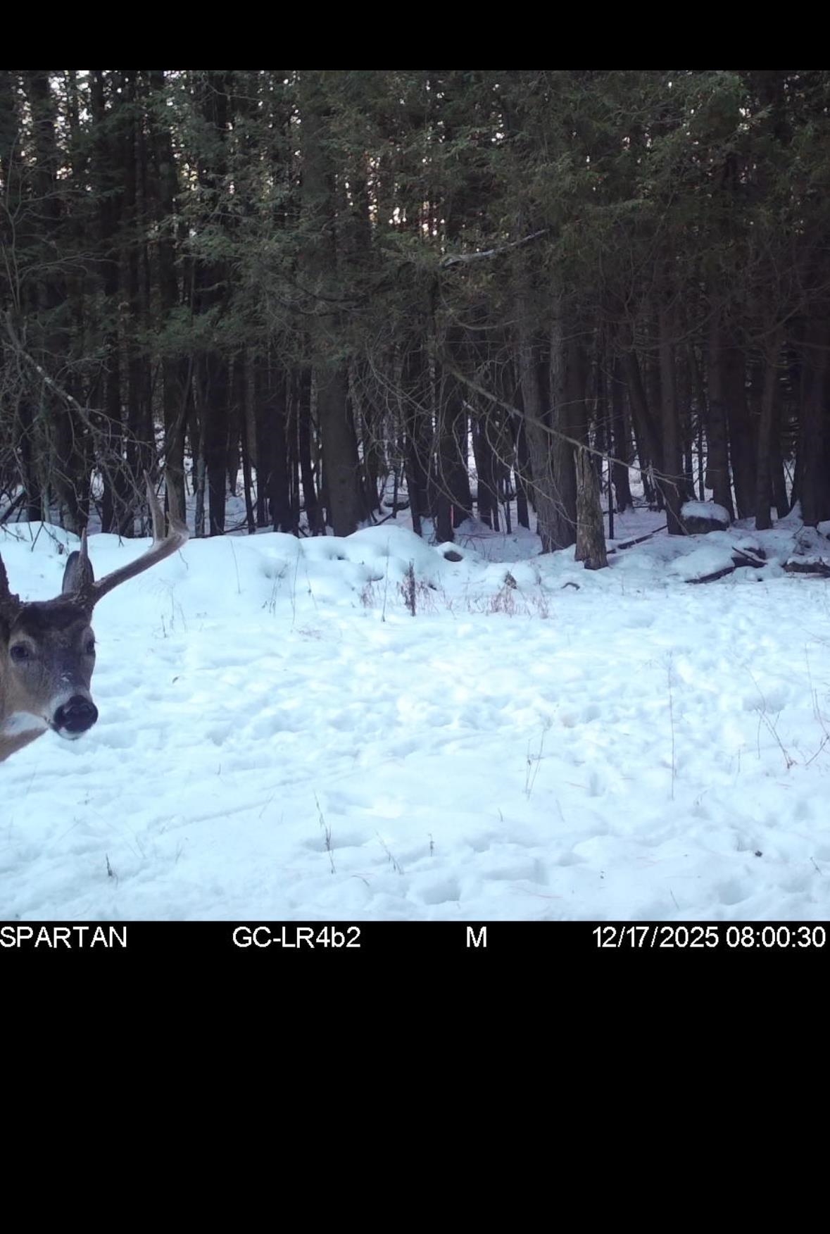 Depot Street Bonduel, WI 54107 - Photo 18 of 32