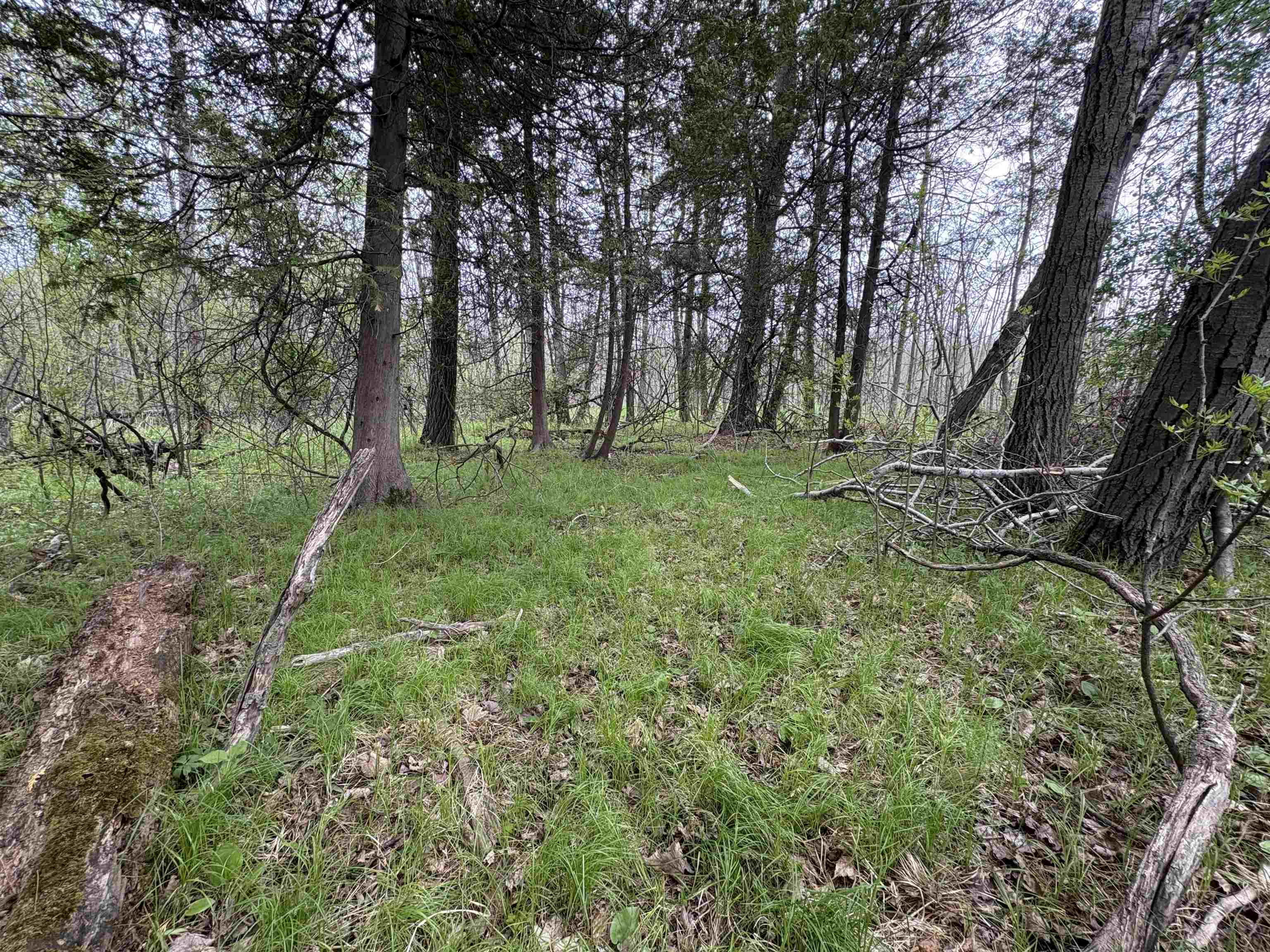 Depot Street Bonduel, WI 54107 - Photo 22 of 32