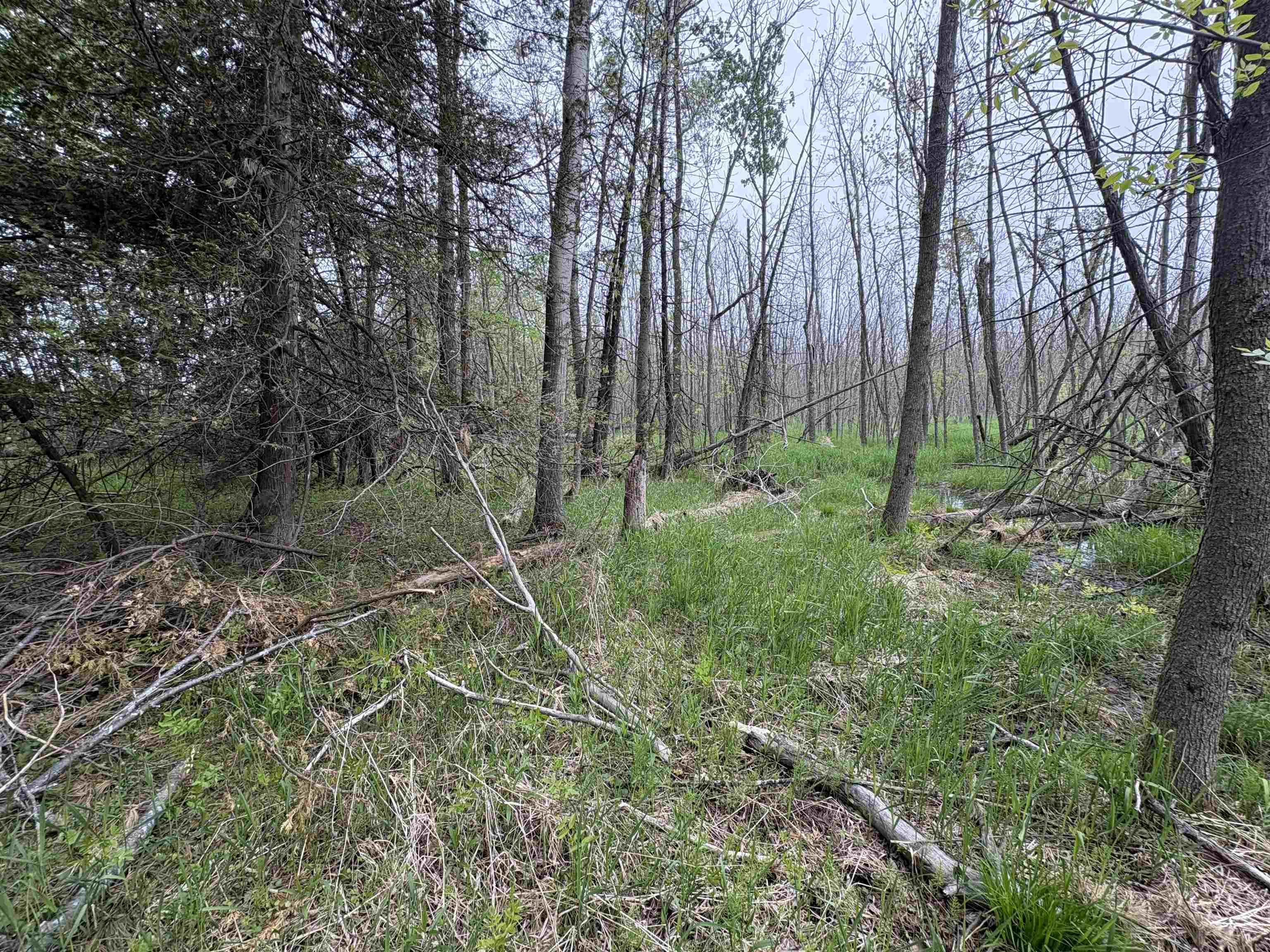 Depot Street Bonduel, WI 54107 - Photo 23 of 32