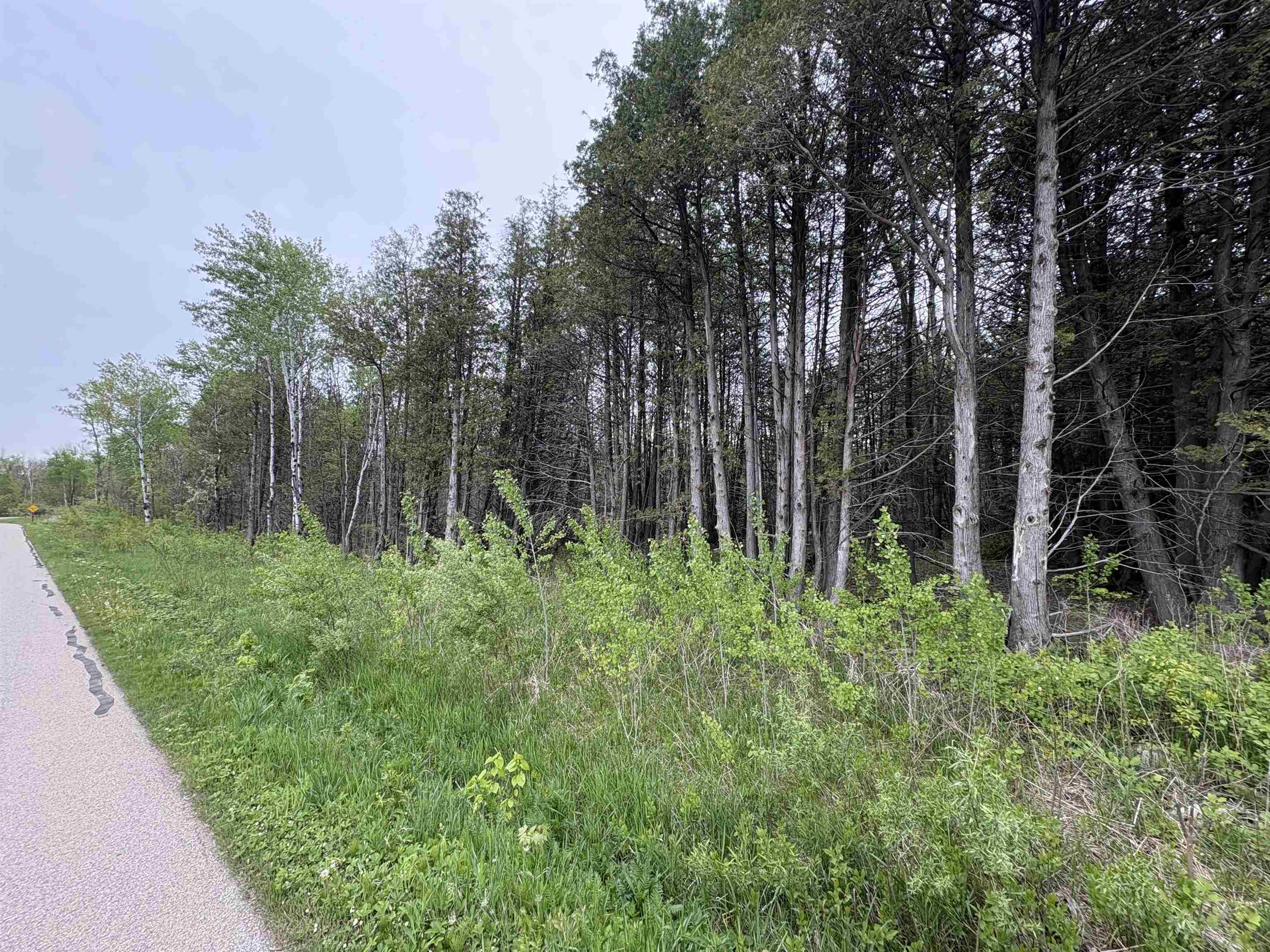 Depot Street Bonduel, WI 54107 - Photo 24 of 32