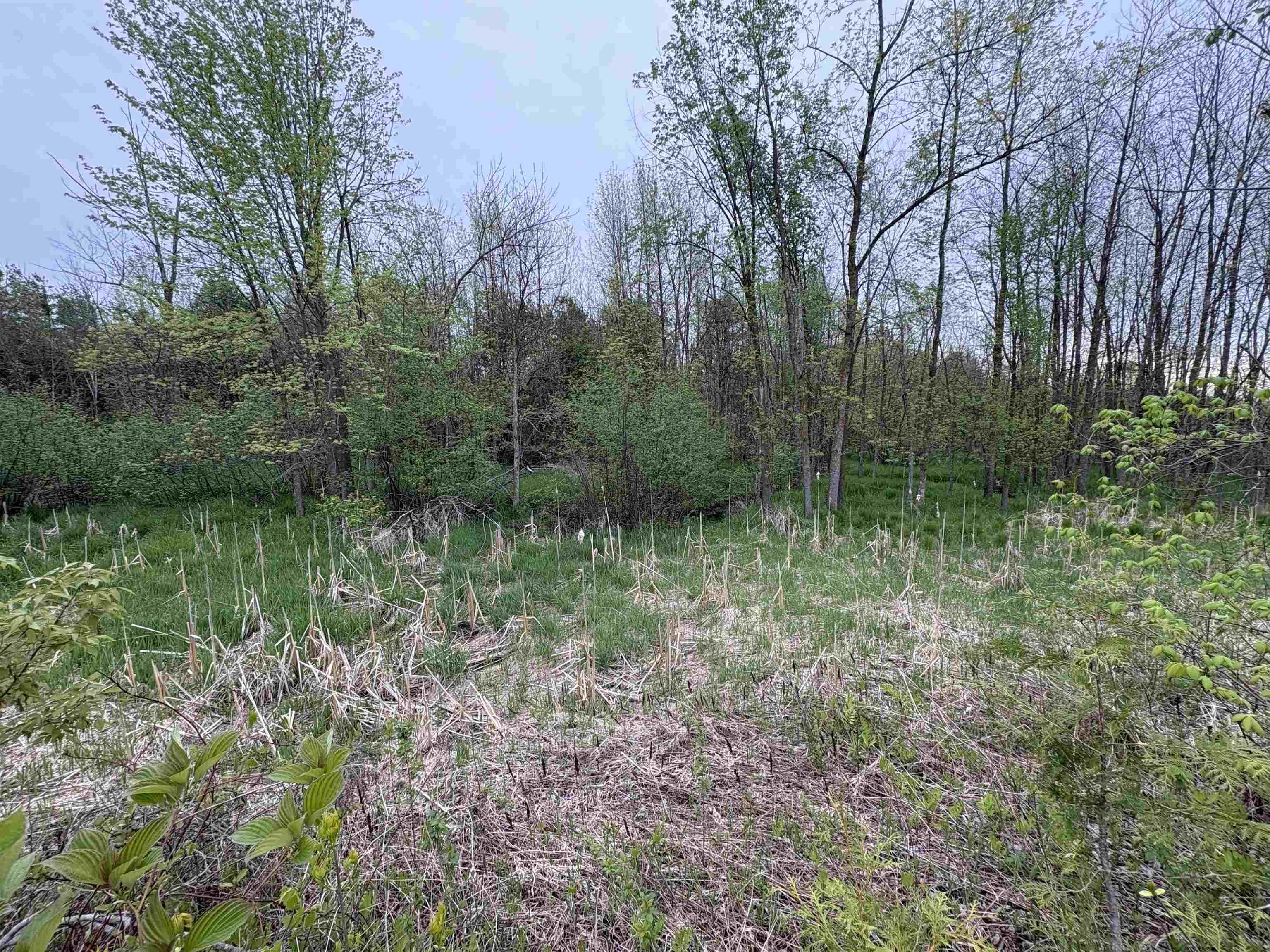 Depot Street Bonduel, WI 54107 - Photo 26 of 32