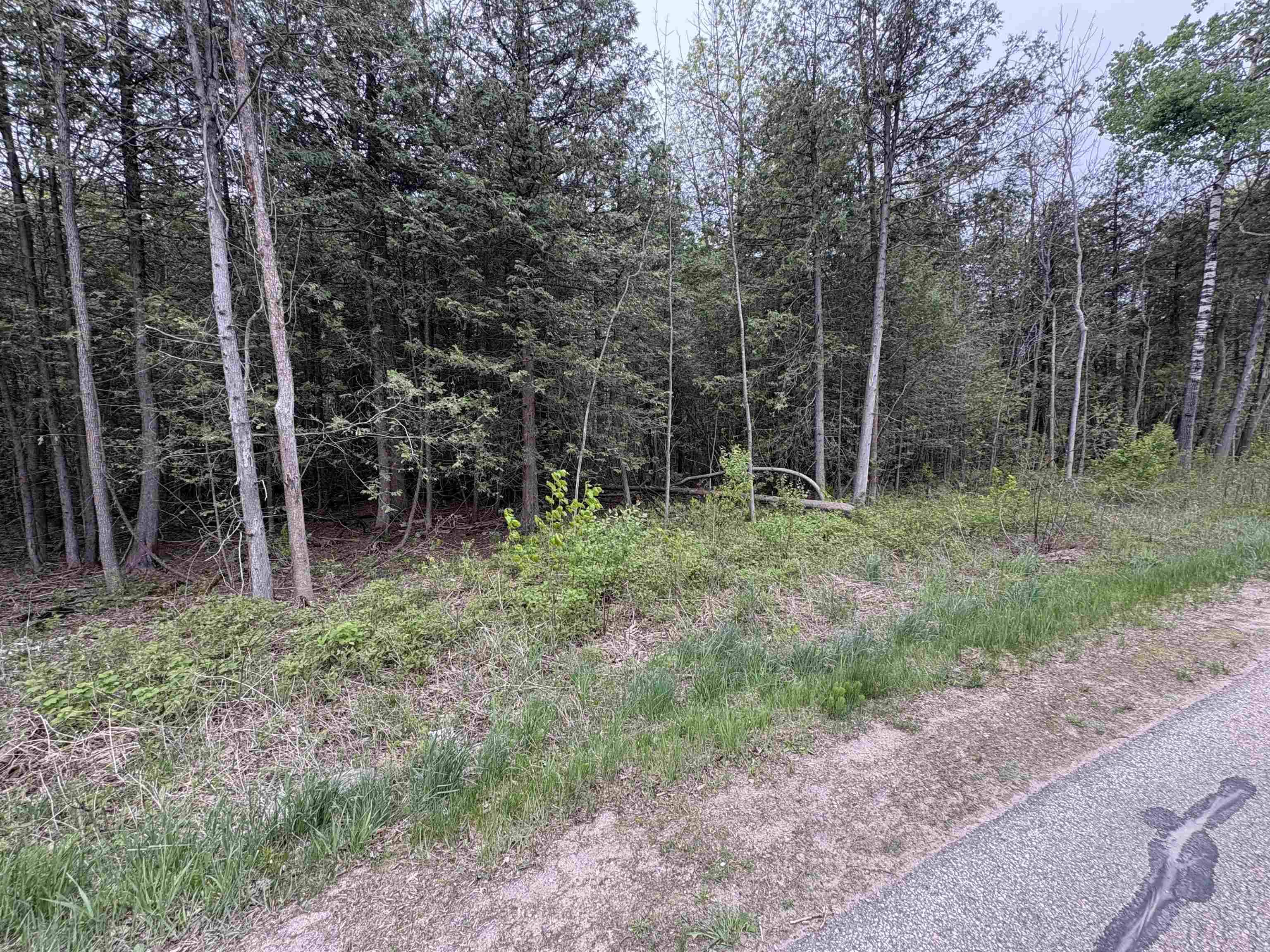 Depot Street Bonduel, WI 54107 - Photo 29 of 32