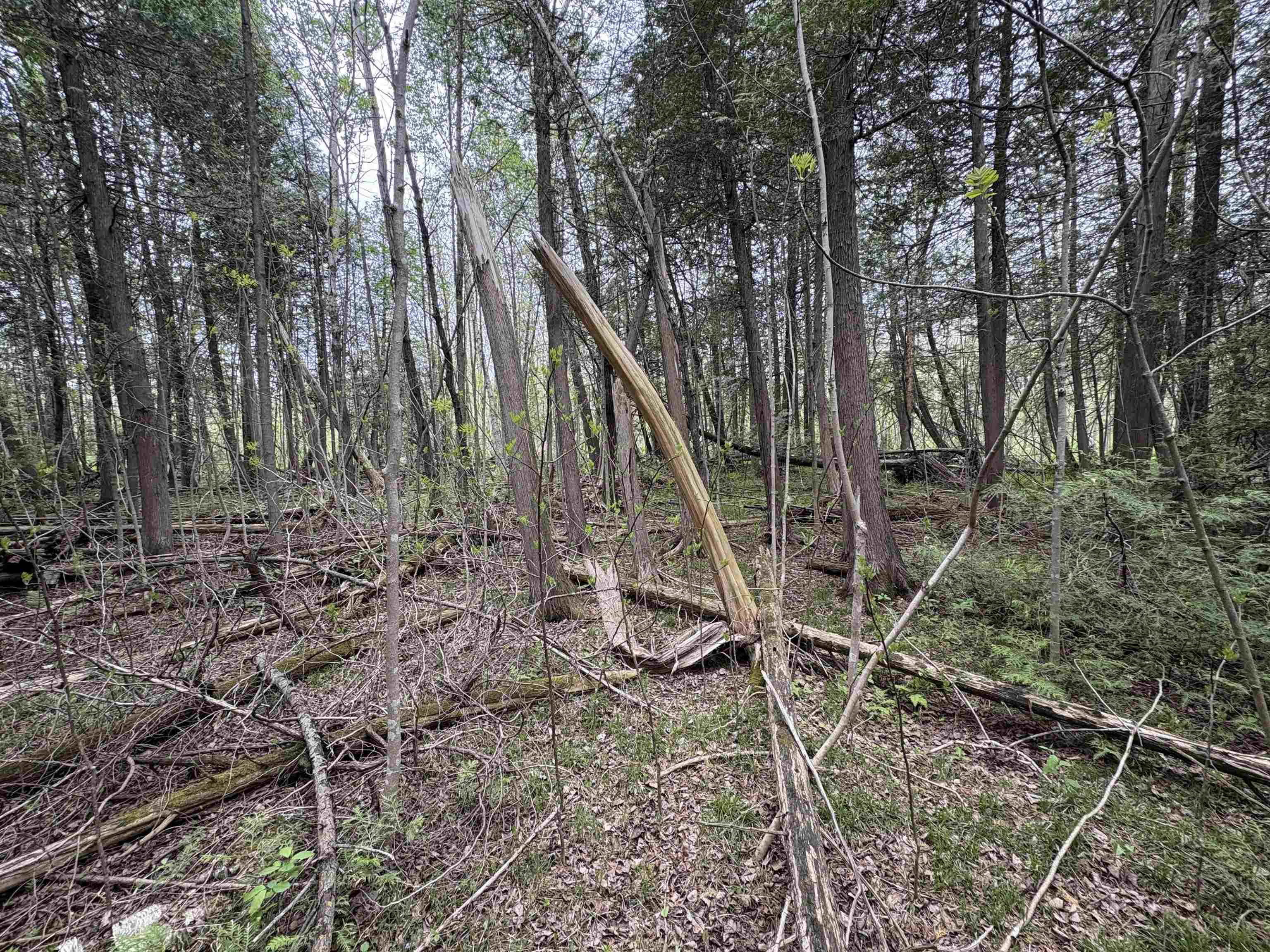 Depot Street Bonduel, WI 54107 - Photo 30 of 32