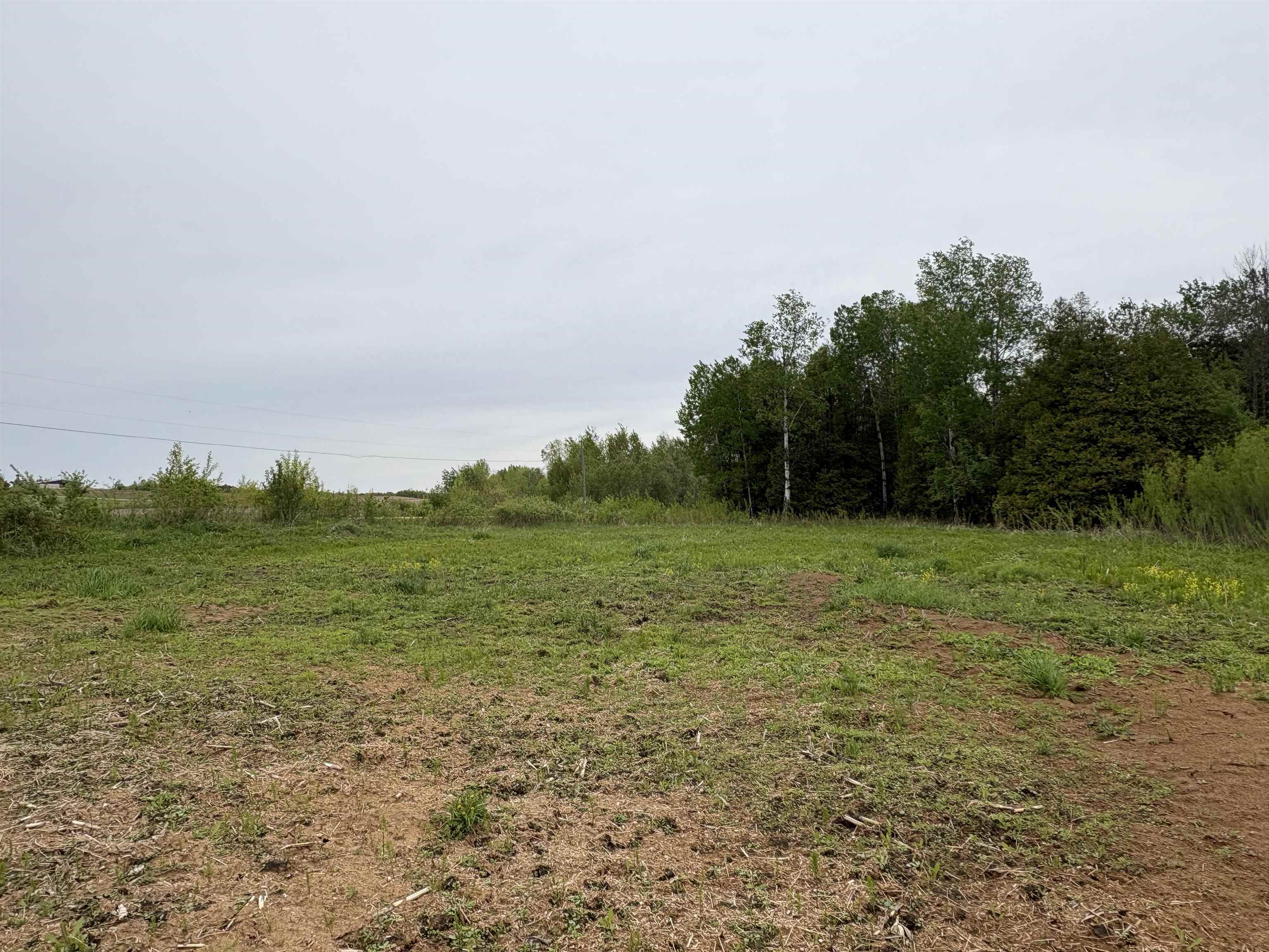 Depot Street Bonduel, WI 54107 - Photo 3 of 32