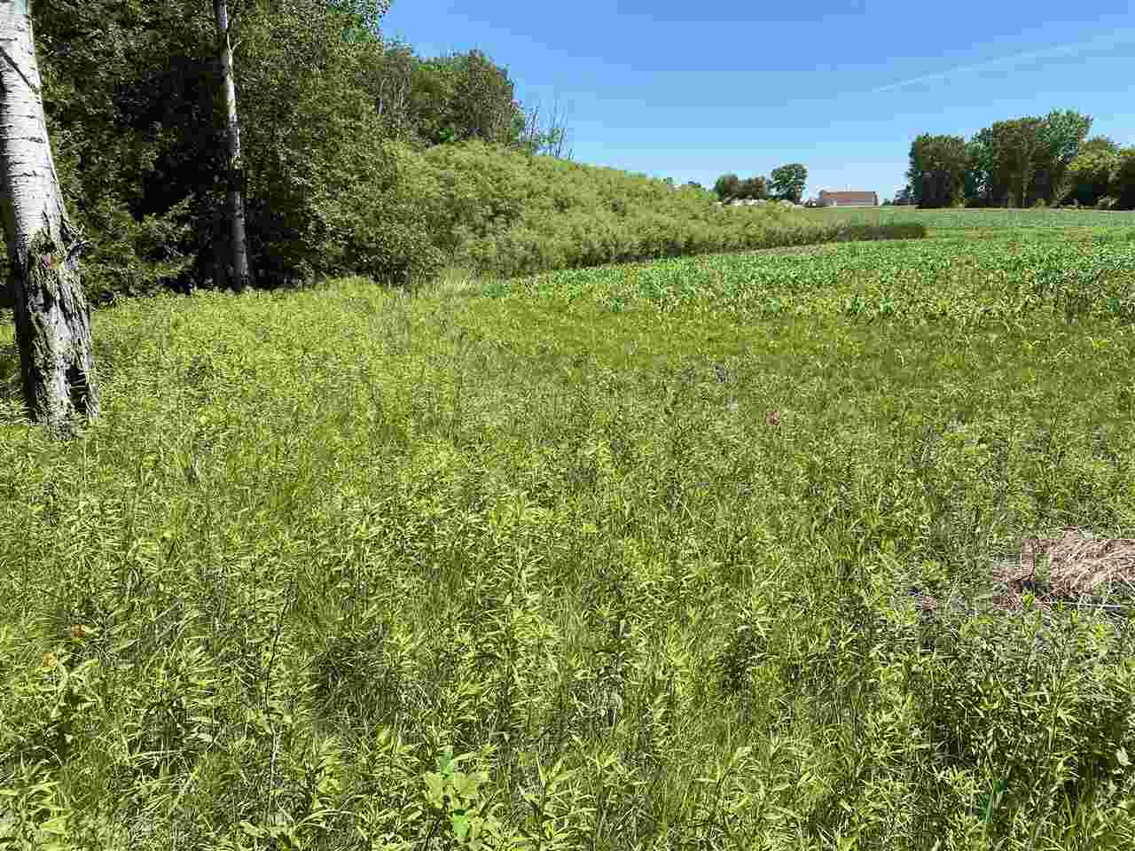 Depot Street Bonduel, WI 54107 - Photo 5 of 32