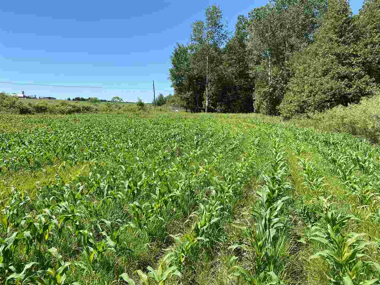 Depot Street Bonduel, WI 54107 - Photo 6 of 32
