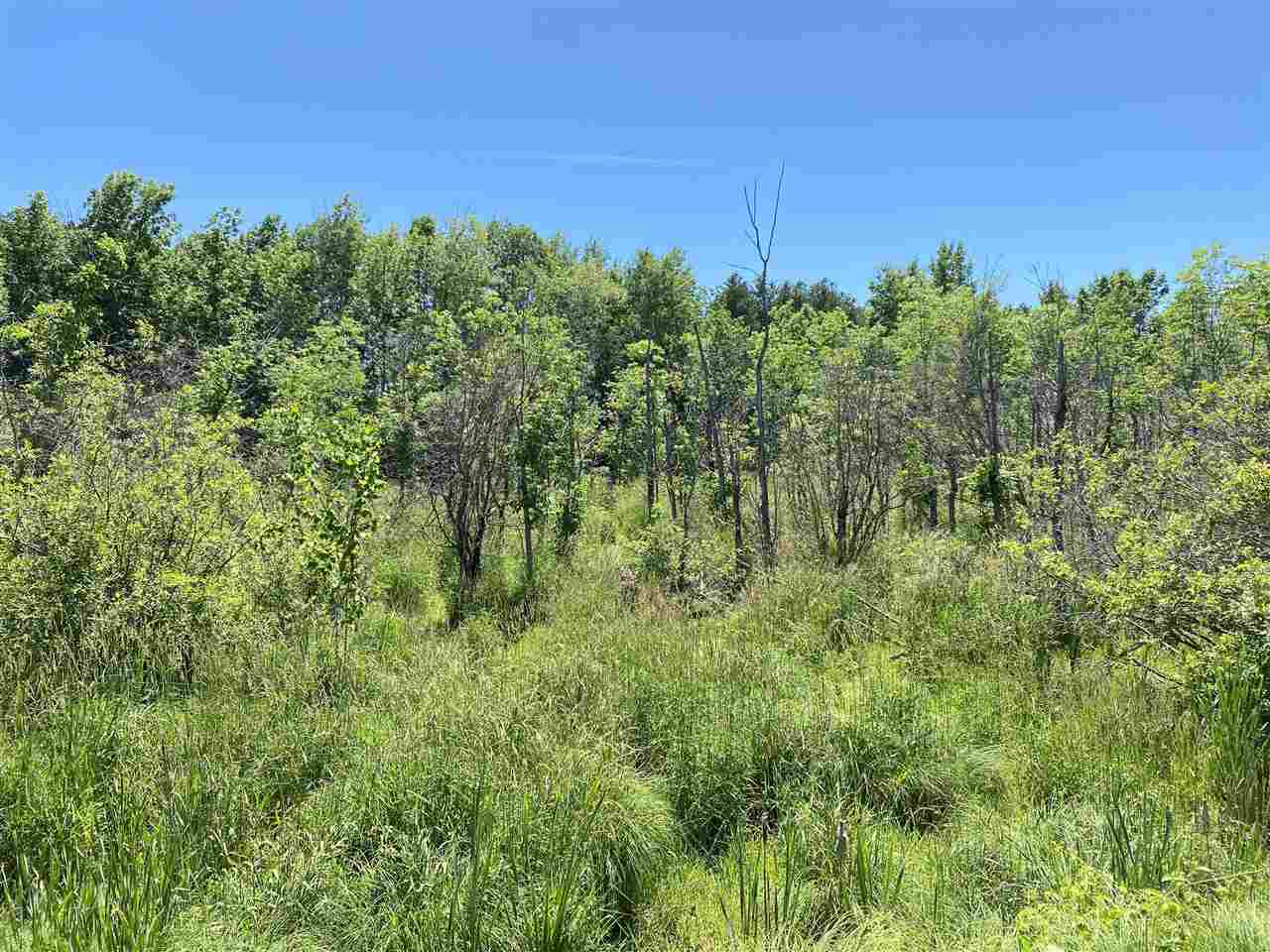 Depot Street Bonduel, WI 54107 - Photo 10 of 32