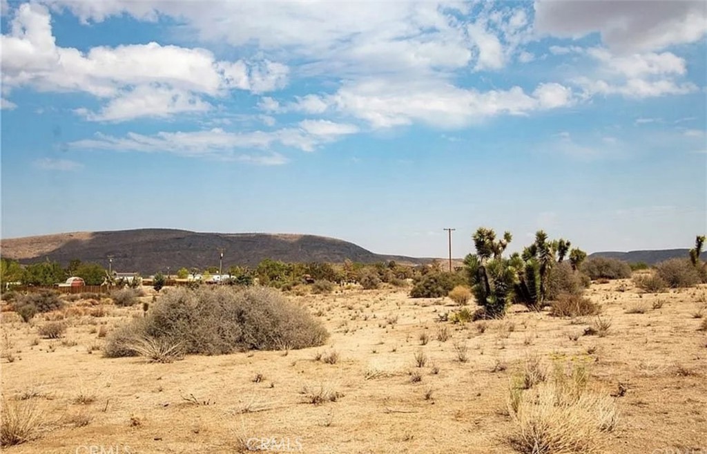 5545 Red Ryder Road Pioneertown, CA 92268 - Photo 12 of 16
