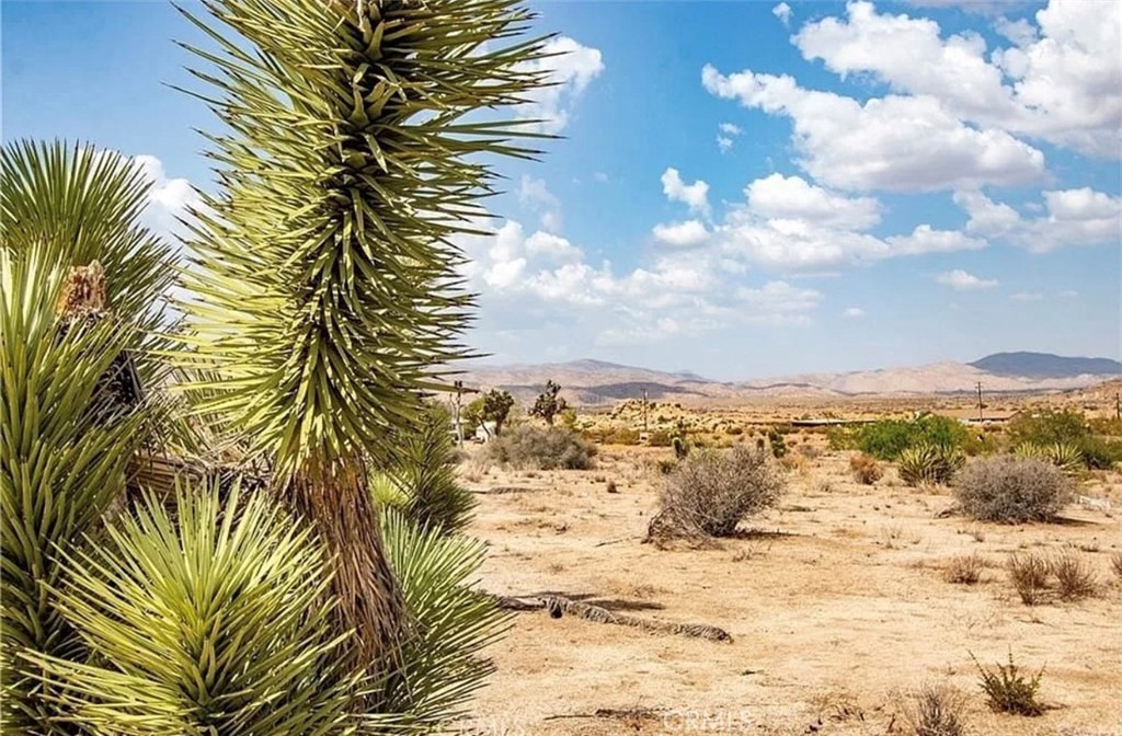 5545 Red Ryder Road Pioneertown, CA 92268 - Photo 15 of 16