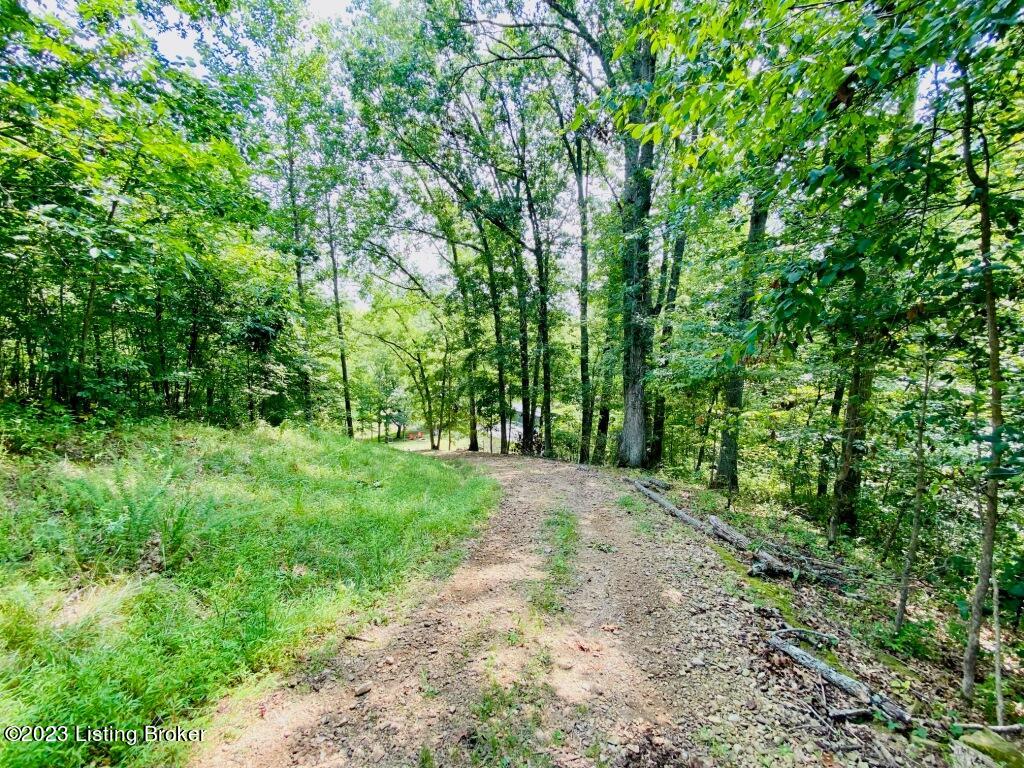 3147 Mayes Creek Road Springfield, KY 40069 - Photo 29 of 34 Land5