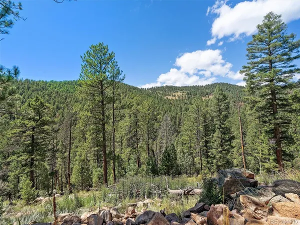 $220,000 | 13809 Elsie Road, Conifer, CO 80433