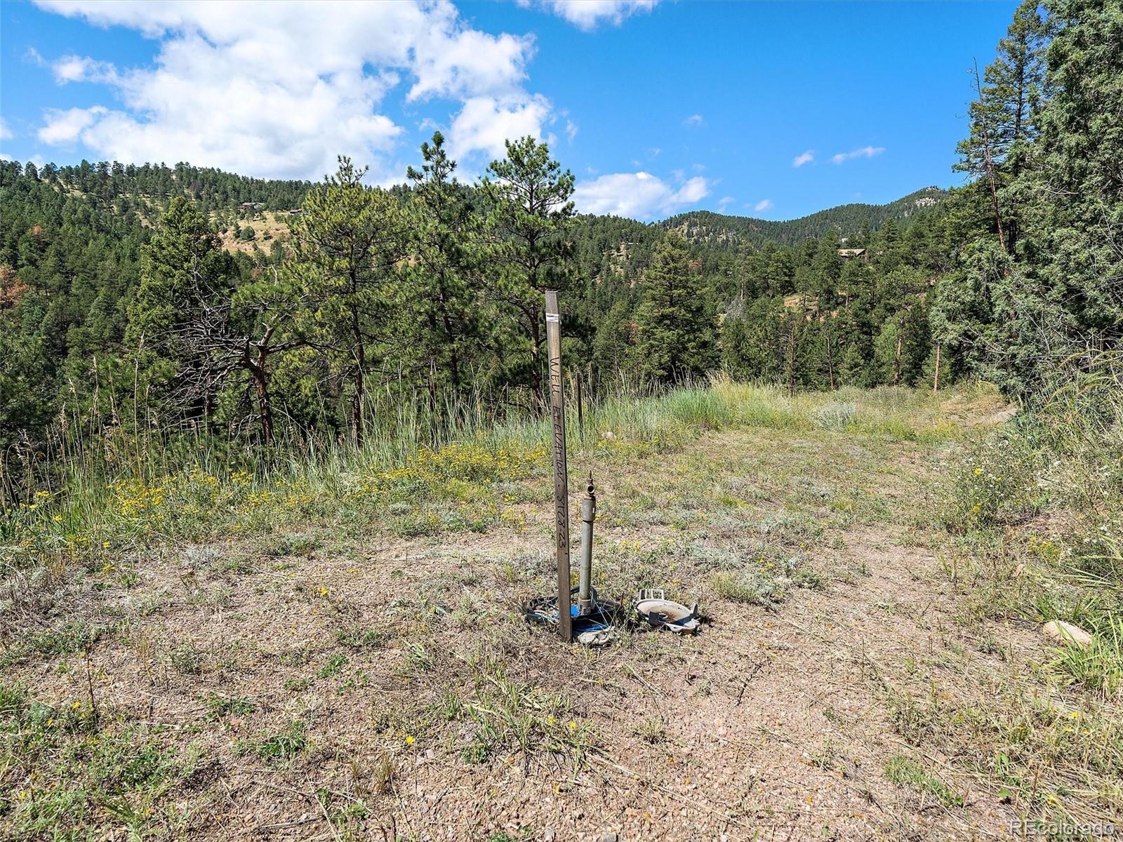 13809 Elsie Road Conifer, CO 80433 - Photo 17 of 28