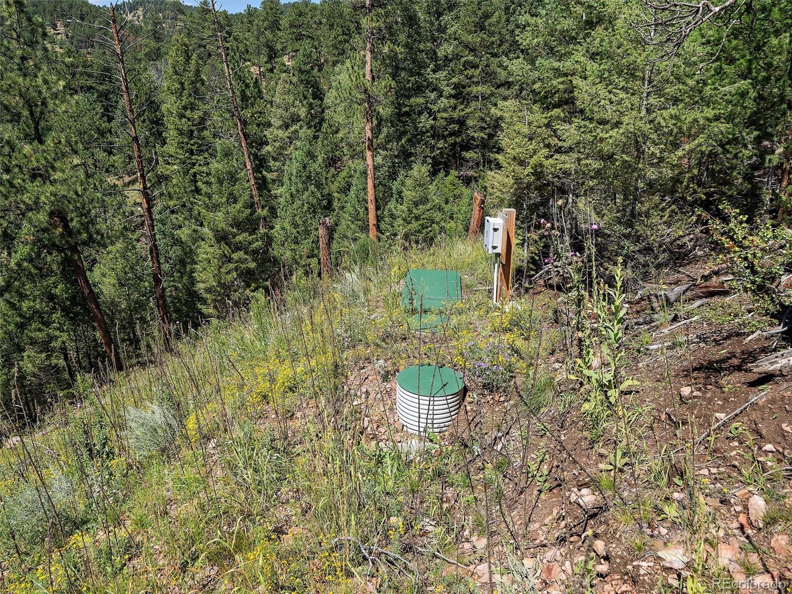 13809 Elsie Road Conifer, CO 80433 - Photo 18 of 28