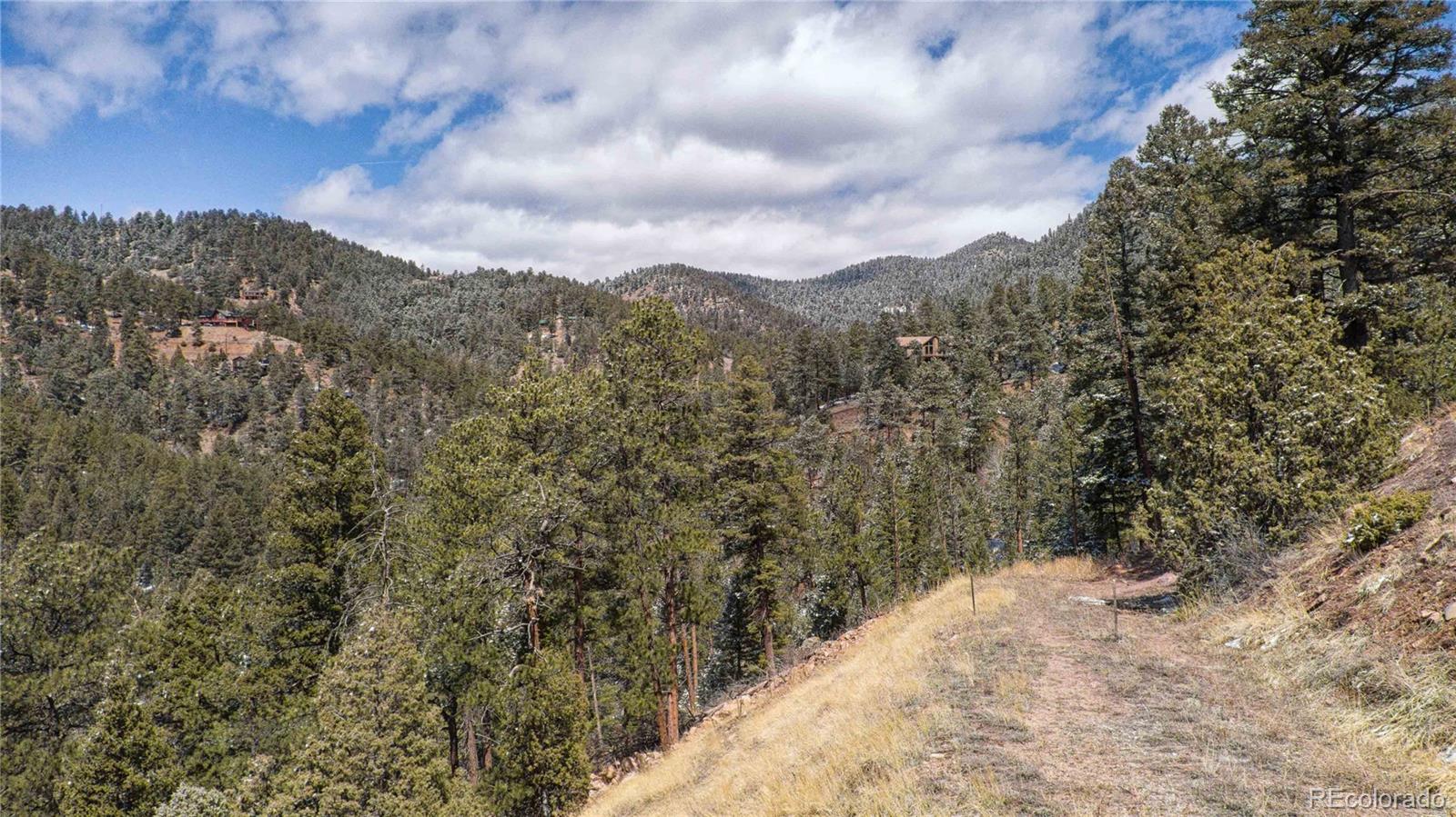 13809 Elsie Road Conifer, CO 80433 - Photo 19 of 28