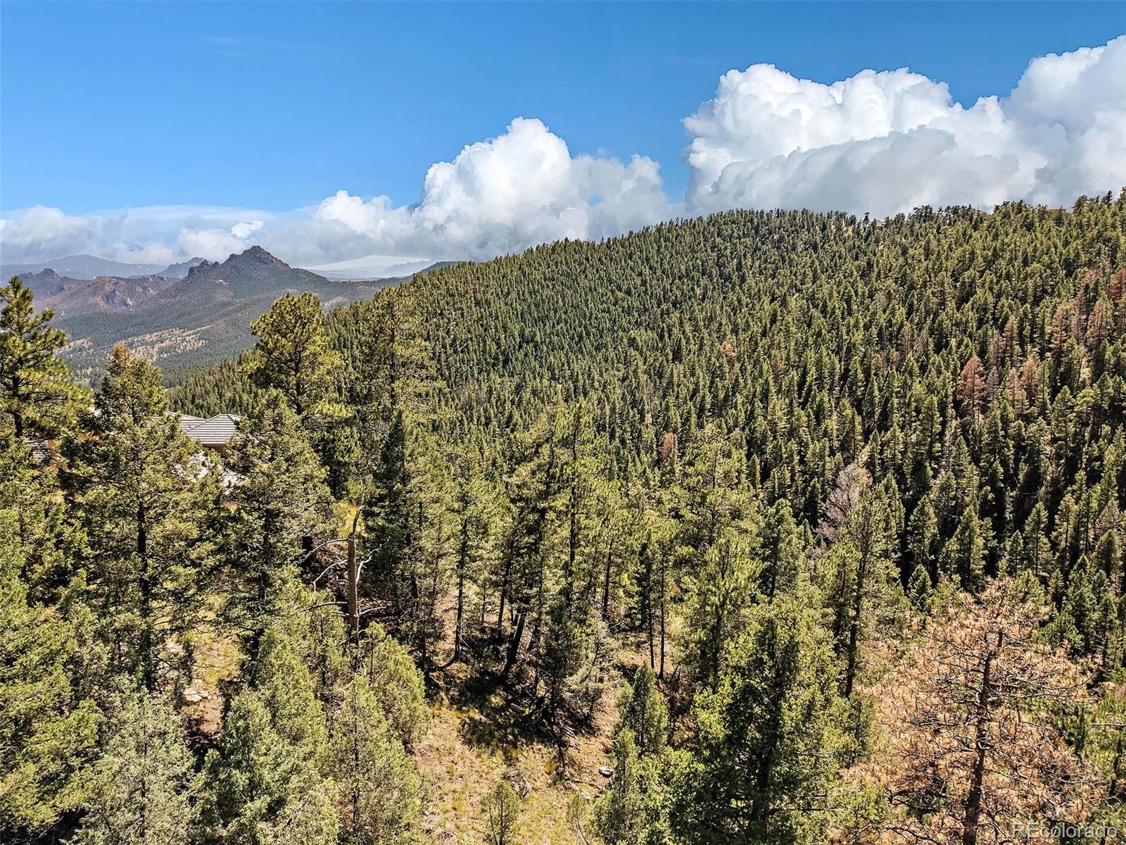 13809 Elsie Road Conifer, CO 80433 - Photo 2 of 28