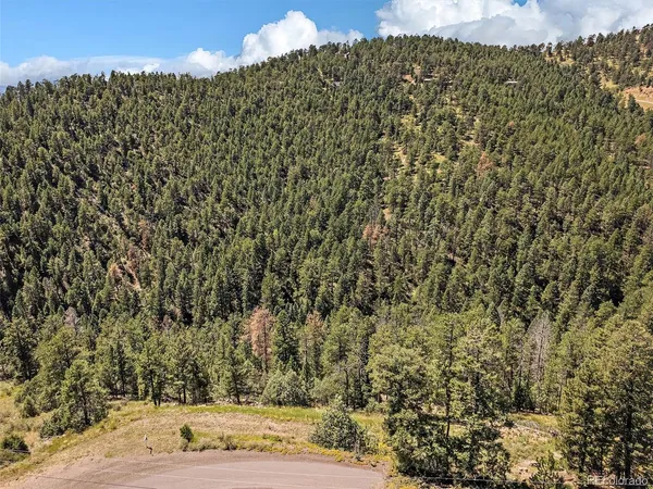 $220,000 | 13809 Elsie Road, Conifer, CO 80433