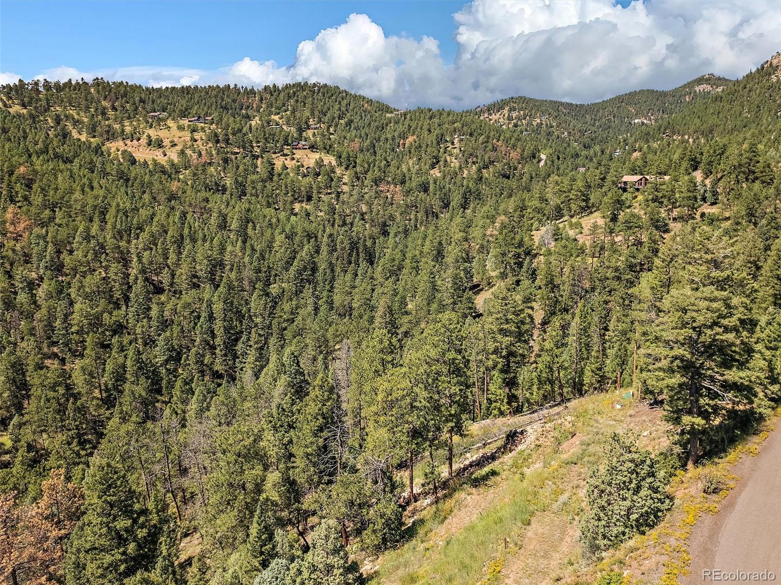 13809 Elsie Road Conifer, CO 80433 - Photo 5 of 28