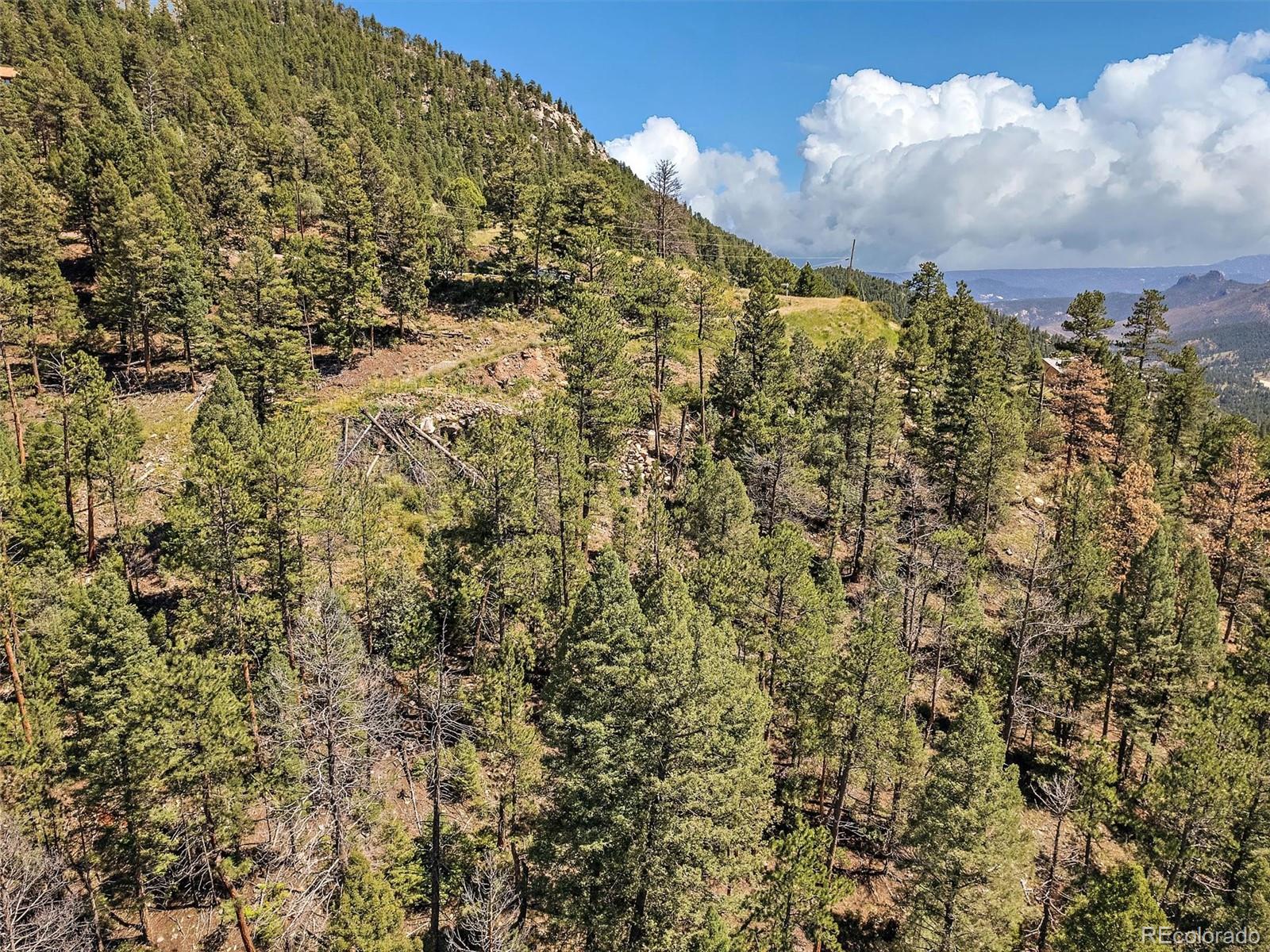 13809 Elsie Road Conifer, CO 80433 - Photo 6 of 28