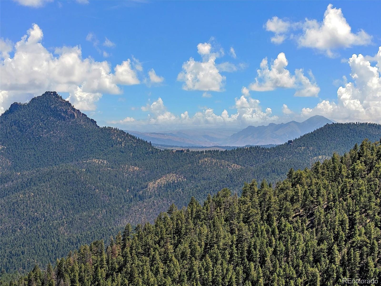 13809 Elsie Road Conifer, CO 80433 - Photo 8 of 28