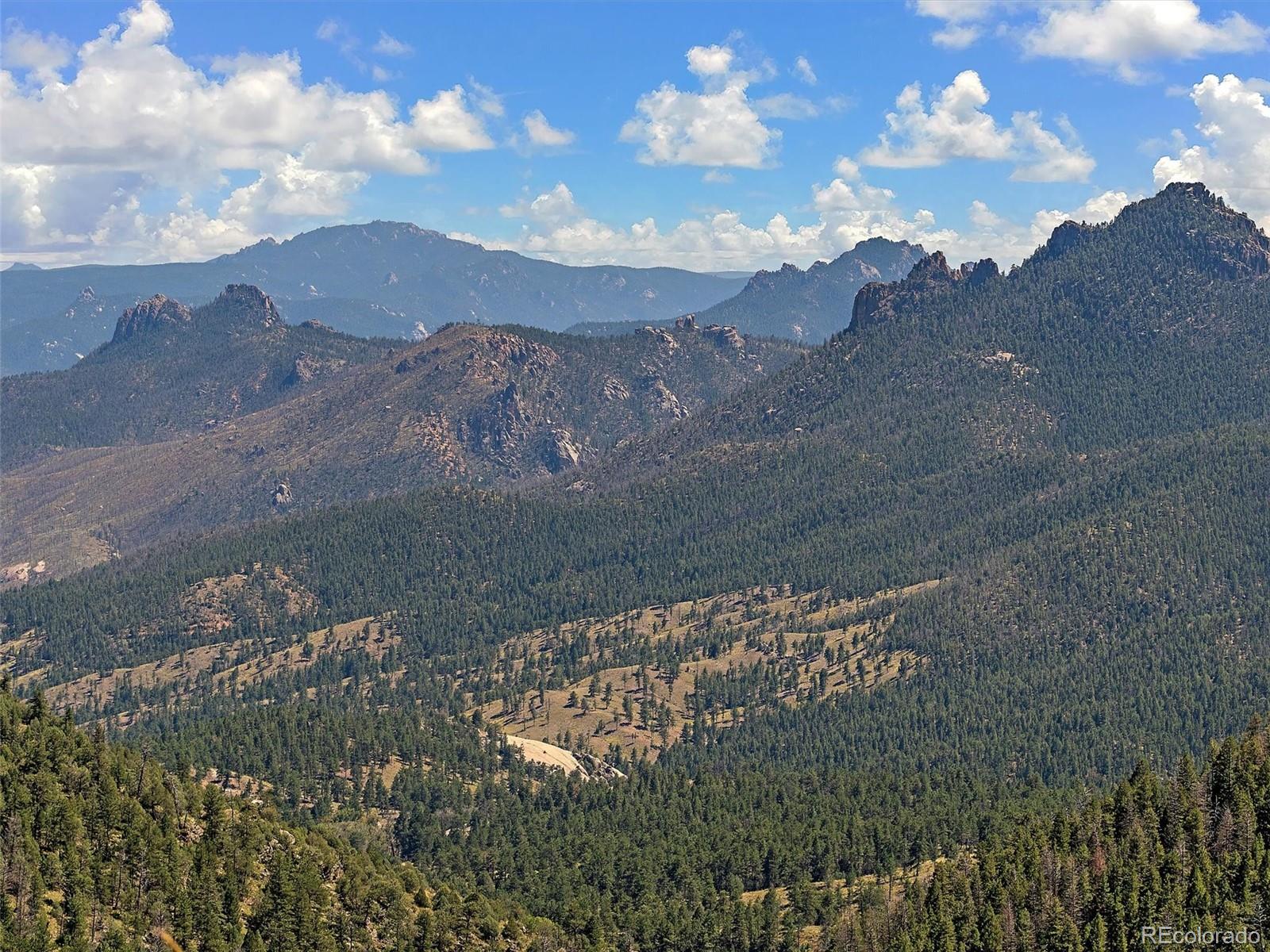 13809 Elsie Road Conifer, CO 80433 - Photo 9 of 28