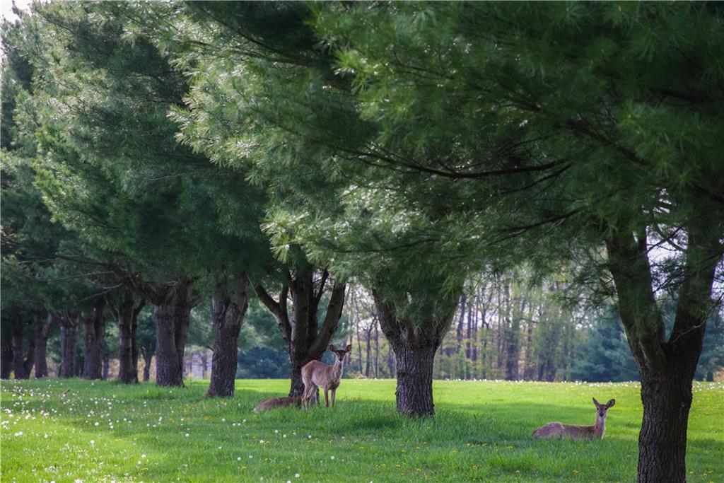 Lot Bonniebrook Bonniebrook Road Butler, PA 16002 - Photo 6 of 23