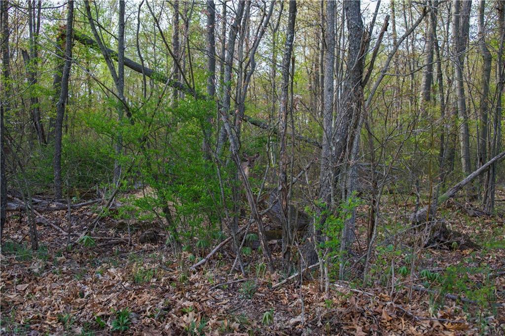 Lot Bonniebrook Bonniebrook Road Butler, PA 16002 - Photo 7 of 23