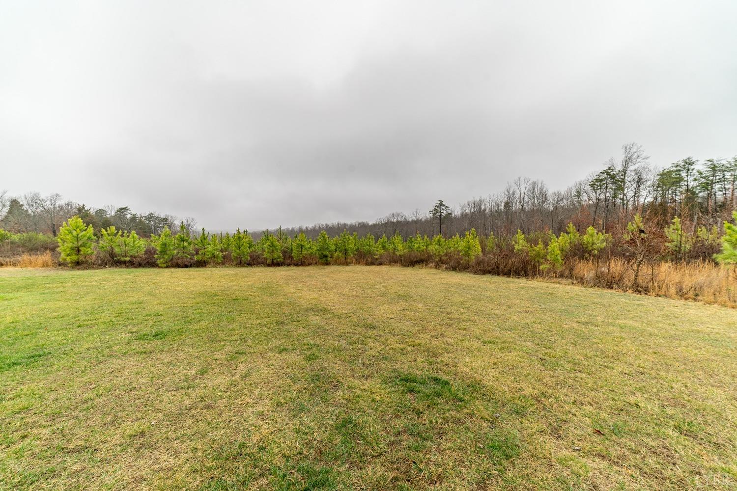 1721 Mohawk Road Gladys, VA 24554 - Photo 8 of 59 Gallery Image 8