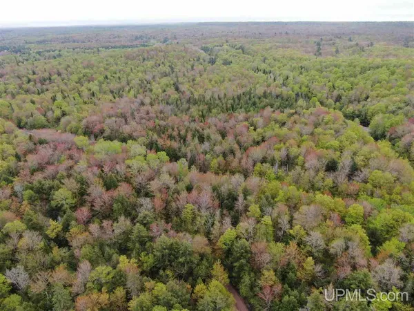 $146,475 | 0 County Road 577 Road, Unit ANNA RIVER RDP, Munising, MI 49862