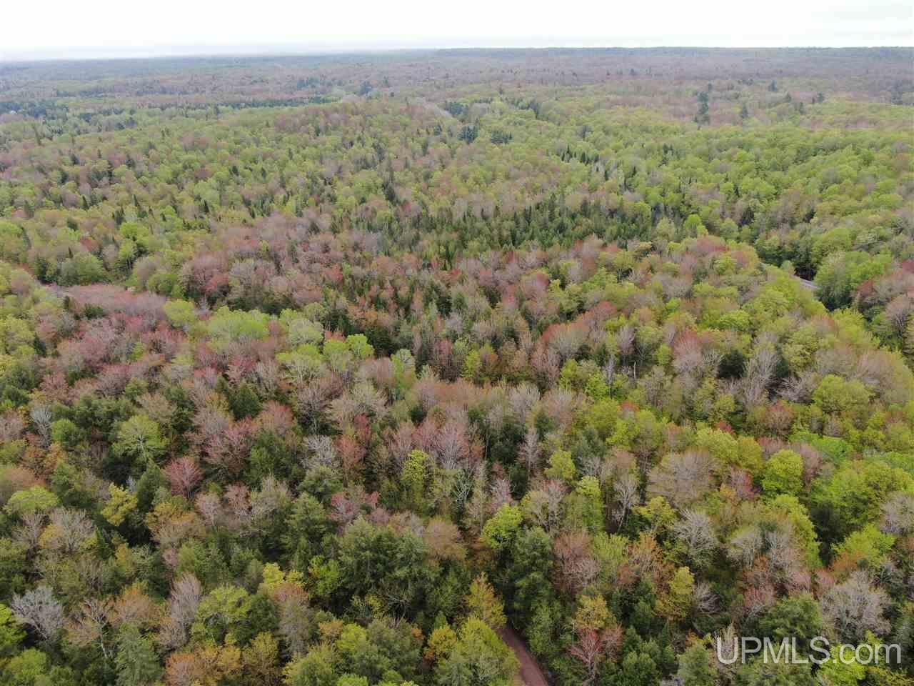 0 County Road 577 Road, Unit ANNA RIVER RDP Munising, MI 49862 - Photo 1 of 26