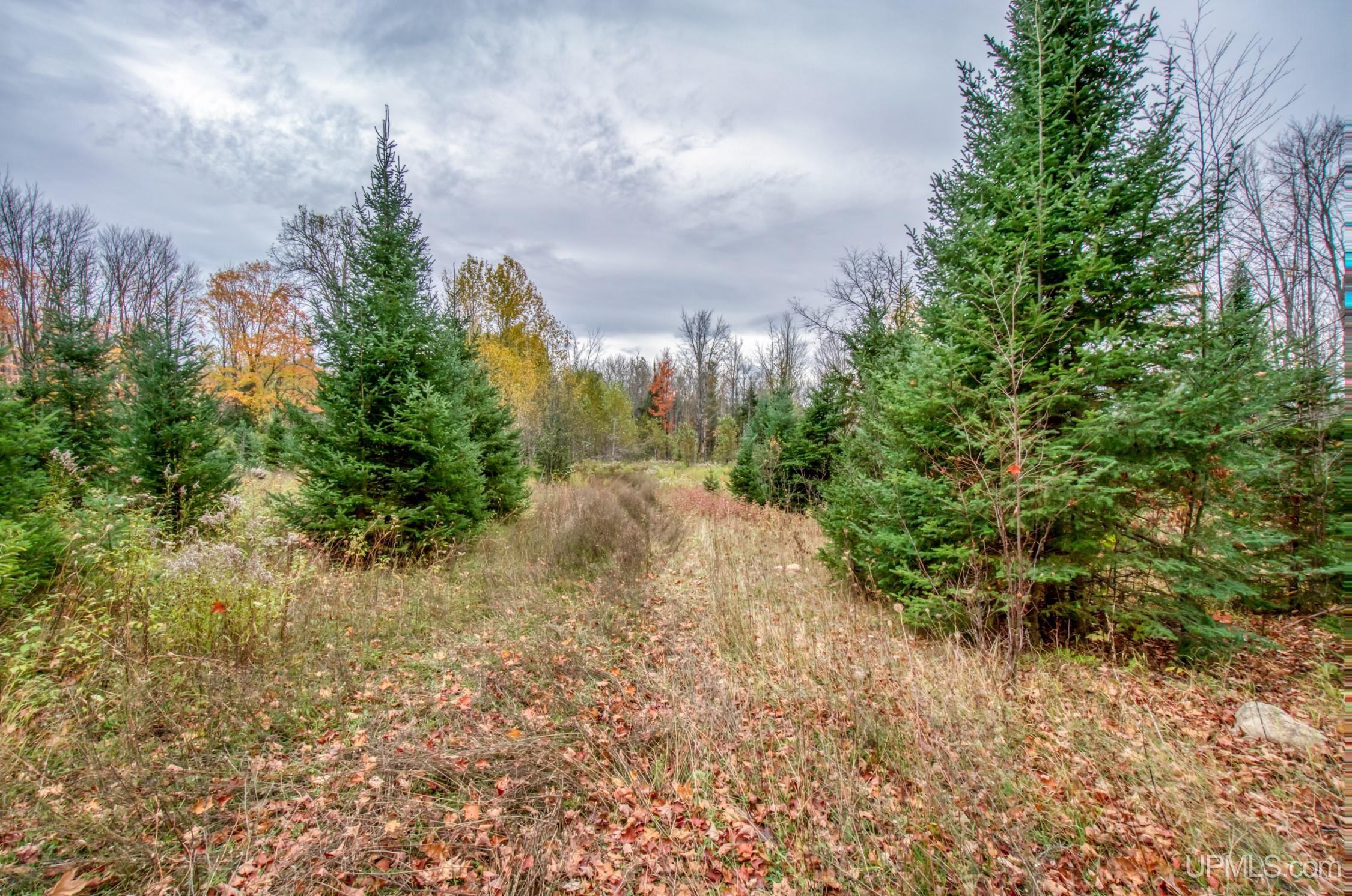 Tbd Tbd Lerza Road Sagola, MI 49881 - Photo 20 of 22