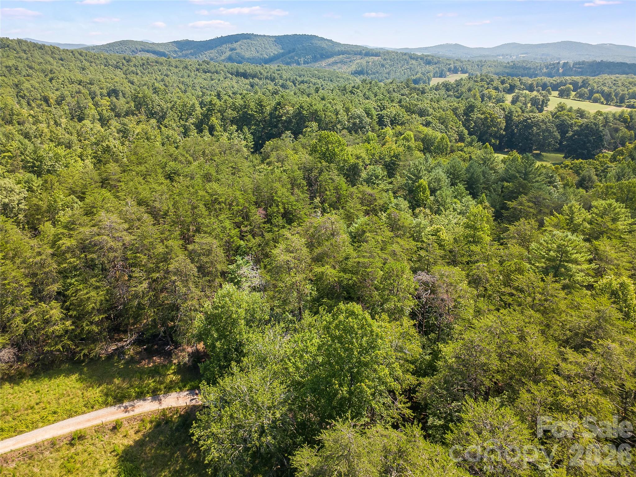 0 Burns Road Granite Falls, NC 28630 - Photo 30 of 33