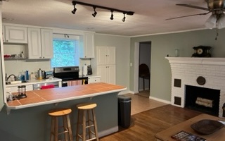 227 Rass Dover Road Blairsville, GA 30512 - Photo 3 of 4 Additional View
