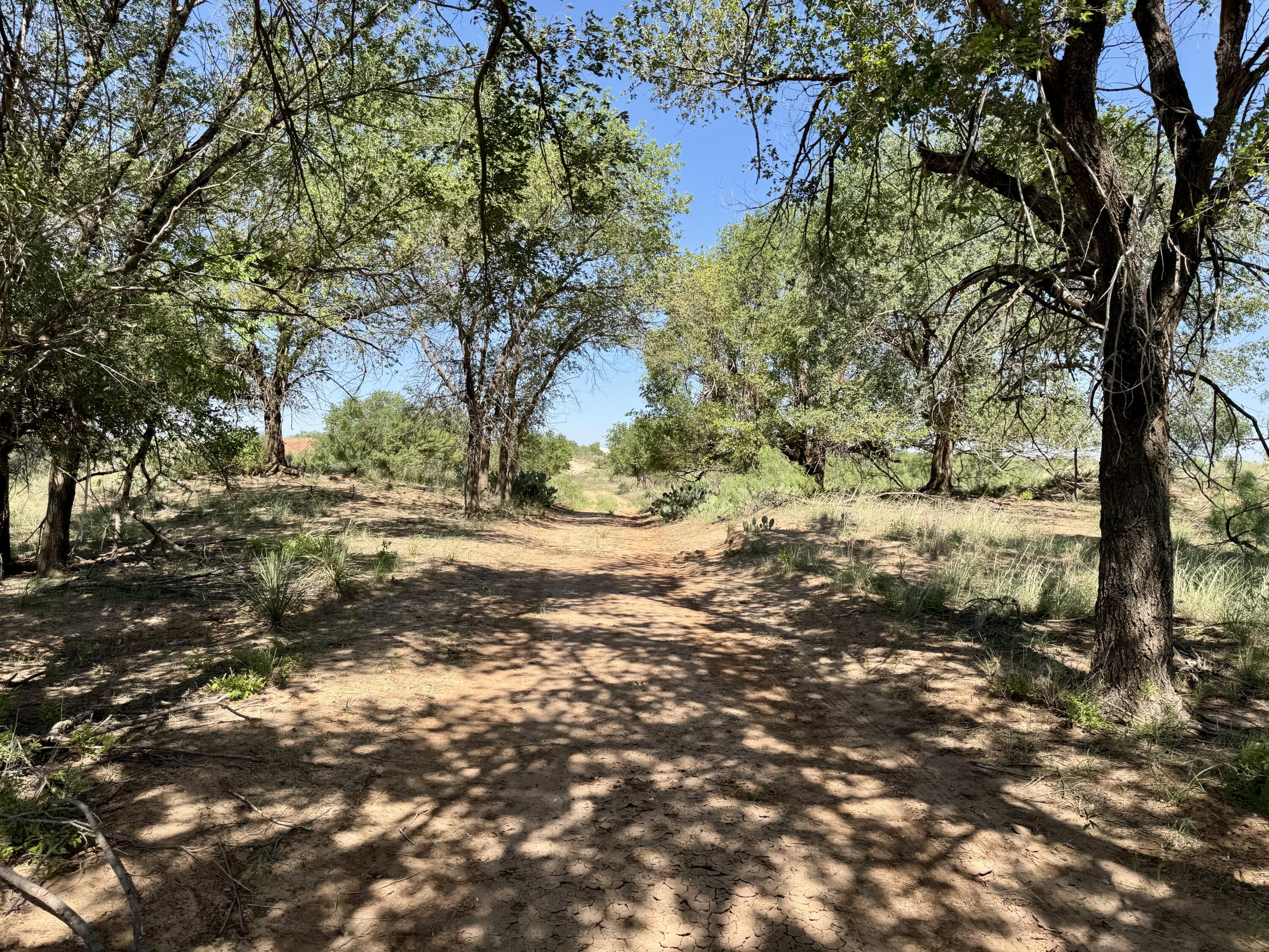 Rattlesnake Creek Ranch Rattlesnake Creek Ranch Post, TX 79356 - Photo 24 of 54 IMG_0163